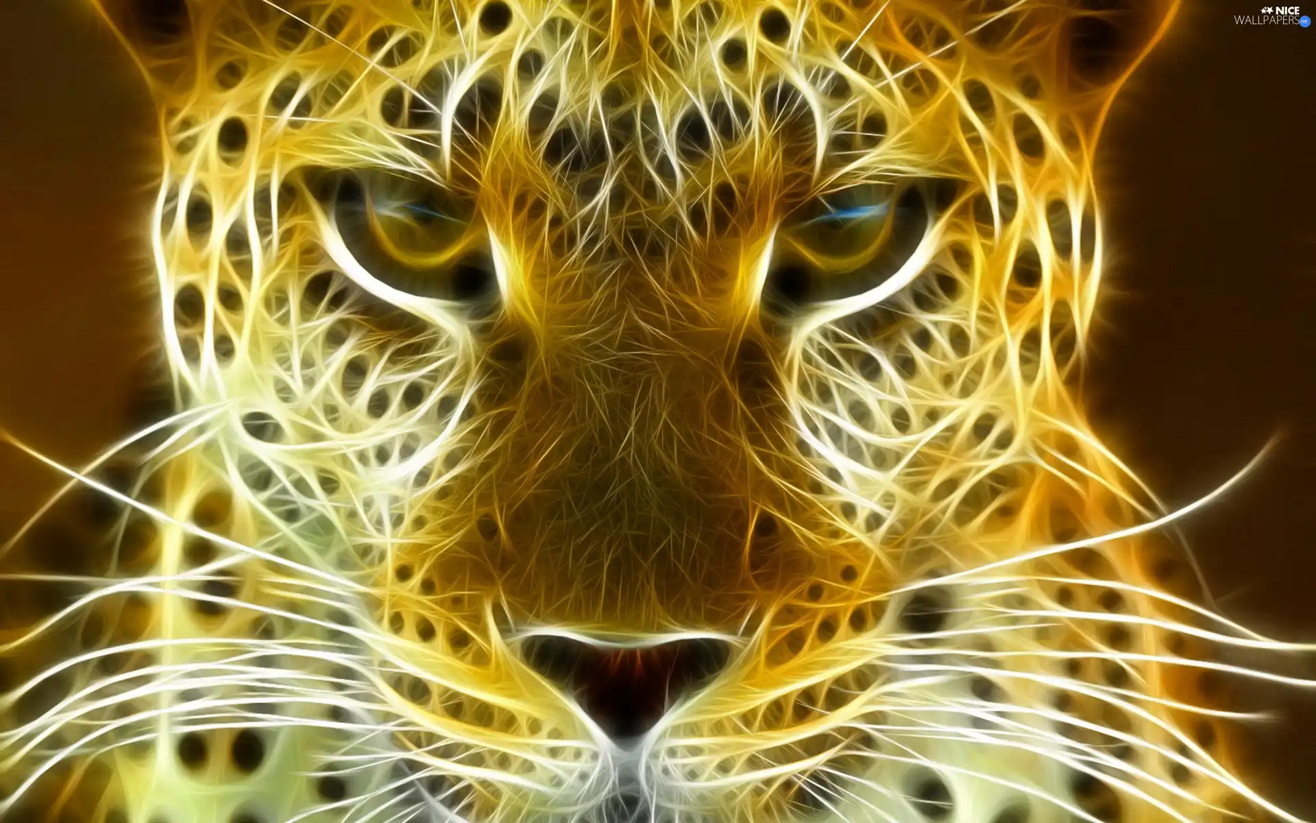 Leopards, graphics