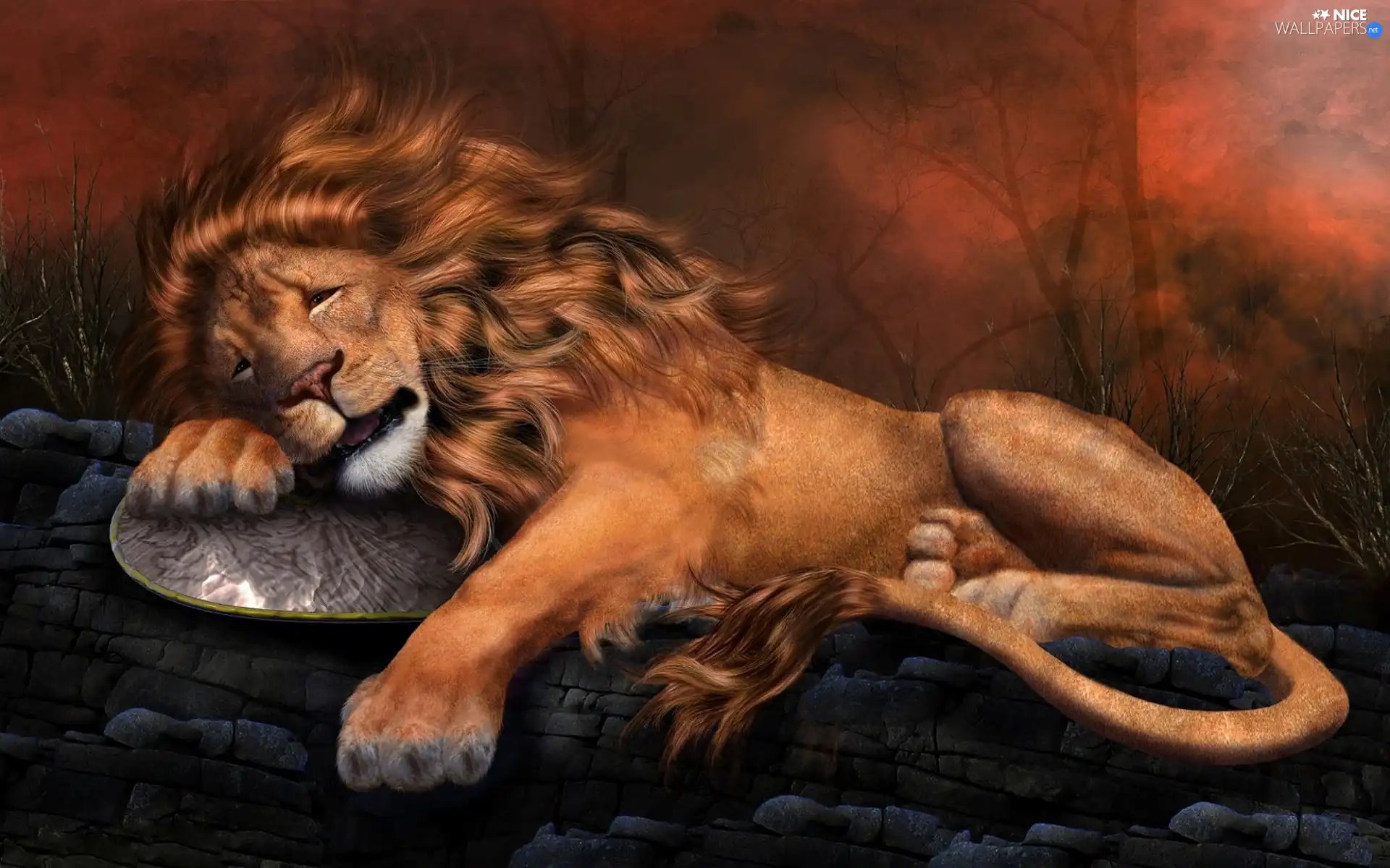 graphics, sleepy, Lion