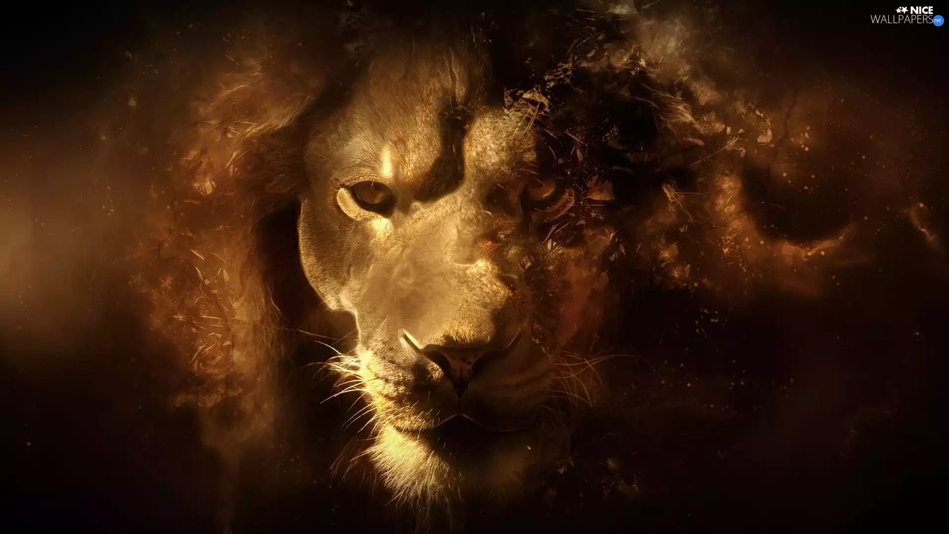 graphics, Lion, mouth