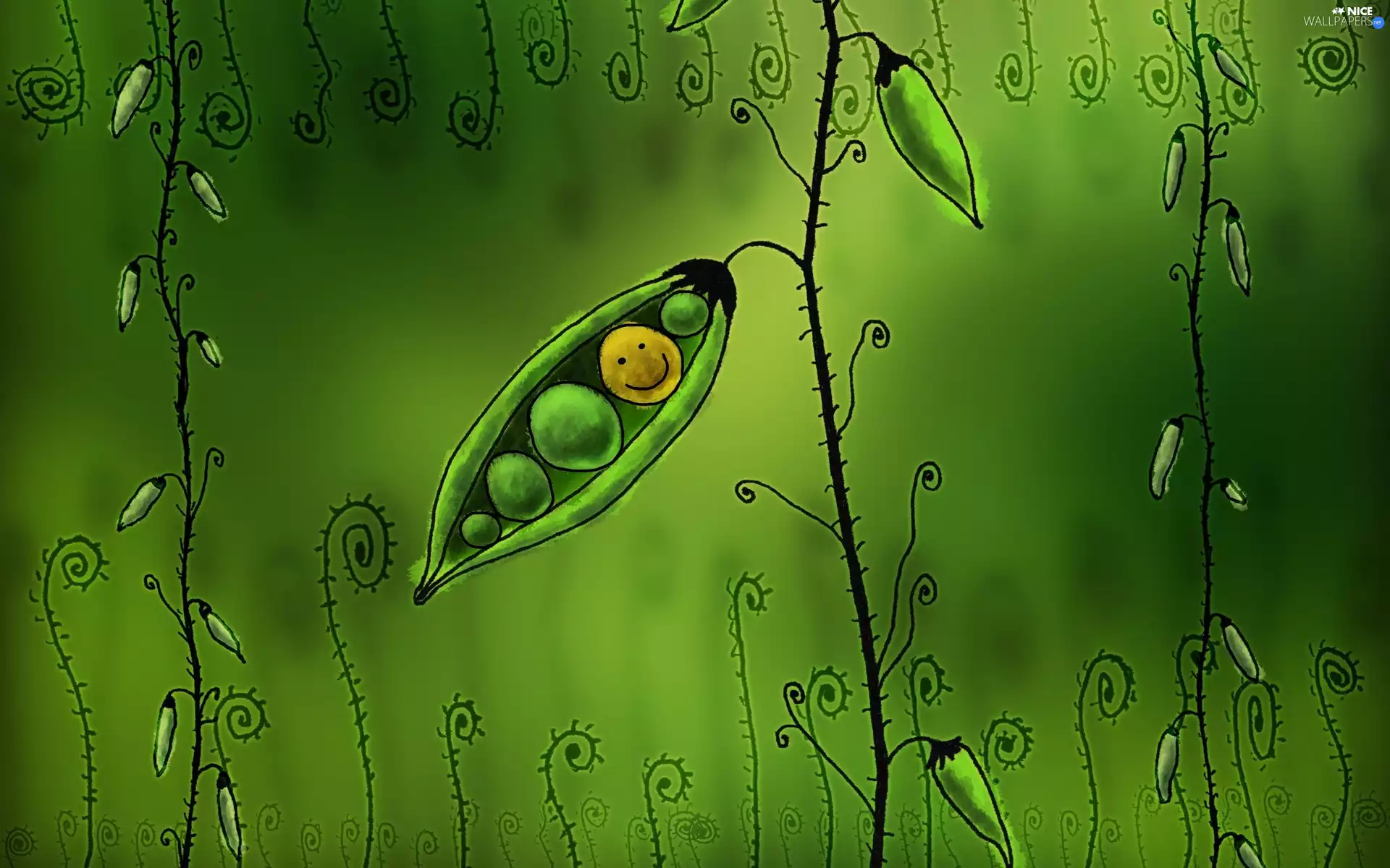 graphics, smiling, peas