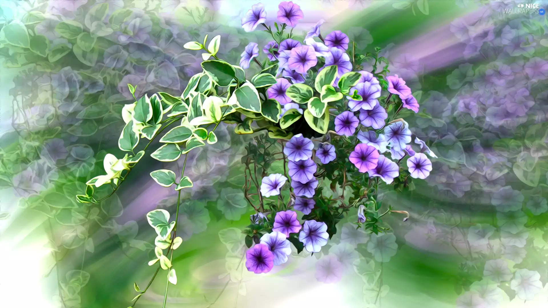 graphics, Flowers, petunias