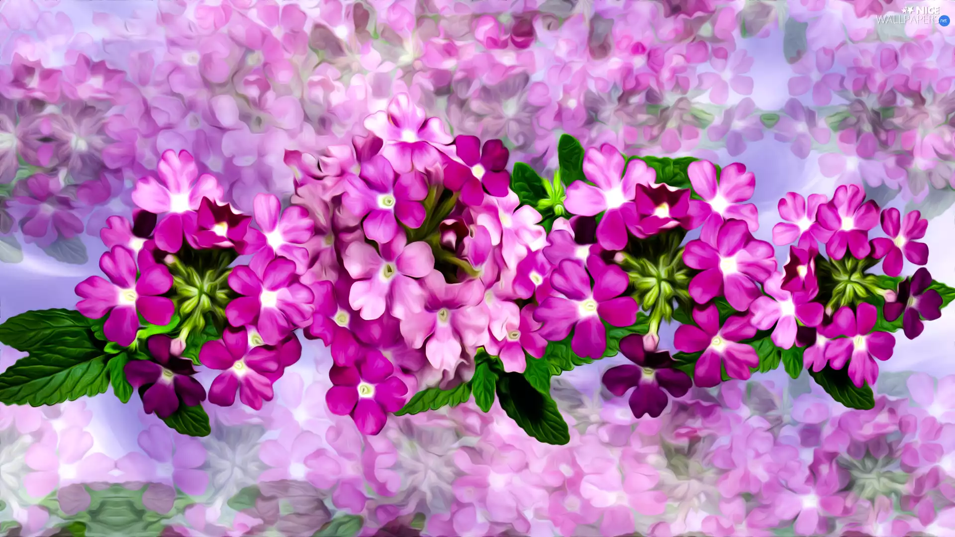 composition, graphics, Pink, Flowers, change