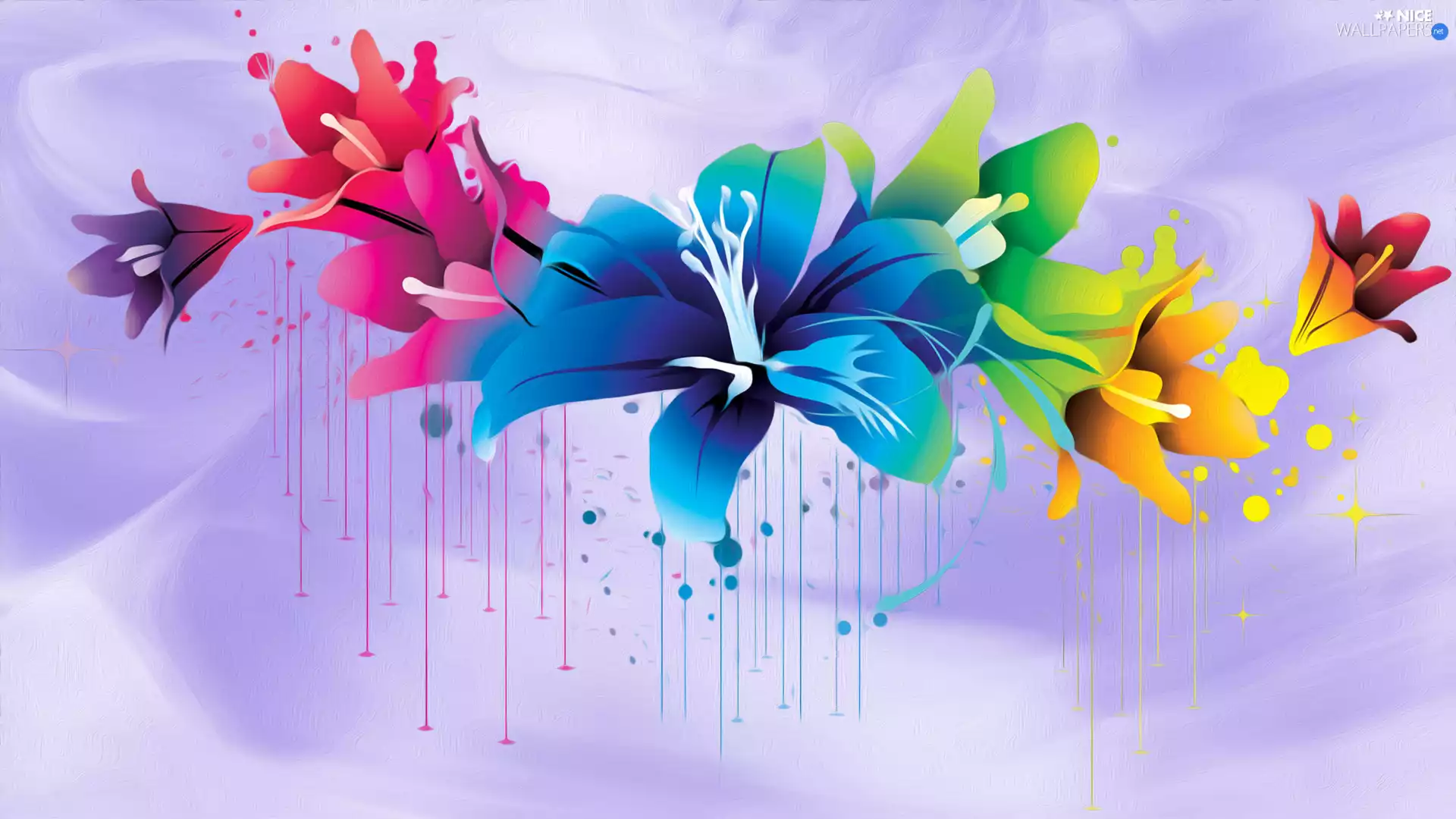 color, graphics, purple background, Flowers