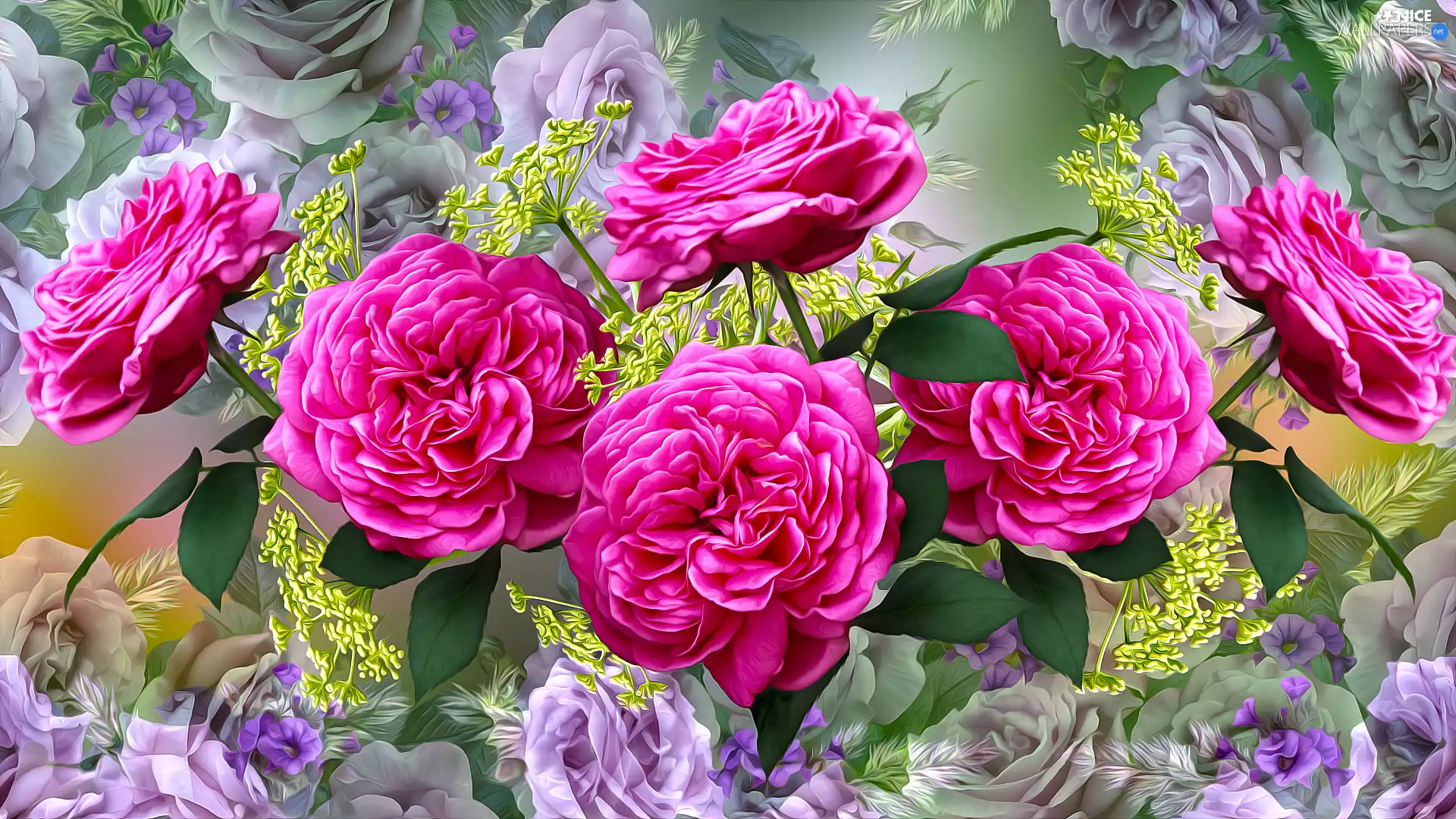 White, graphics, purple, Pink, roses