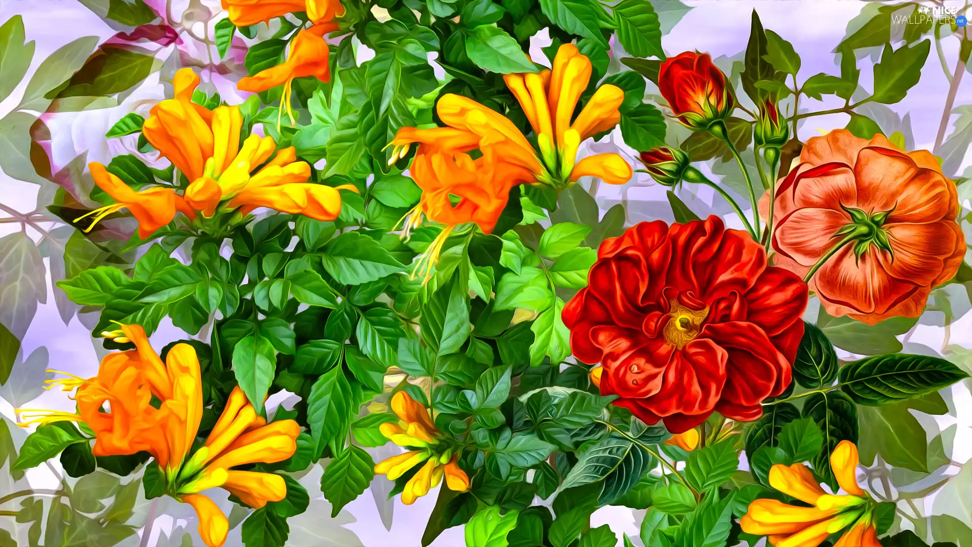 Leaf, graphics, Red, Flowers, Orange