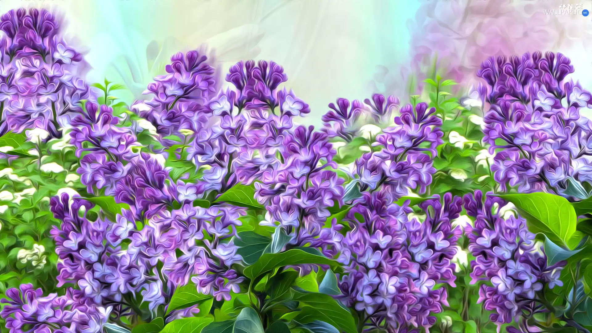 graphics, Flowers, without