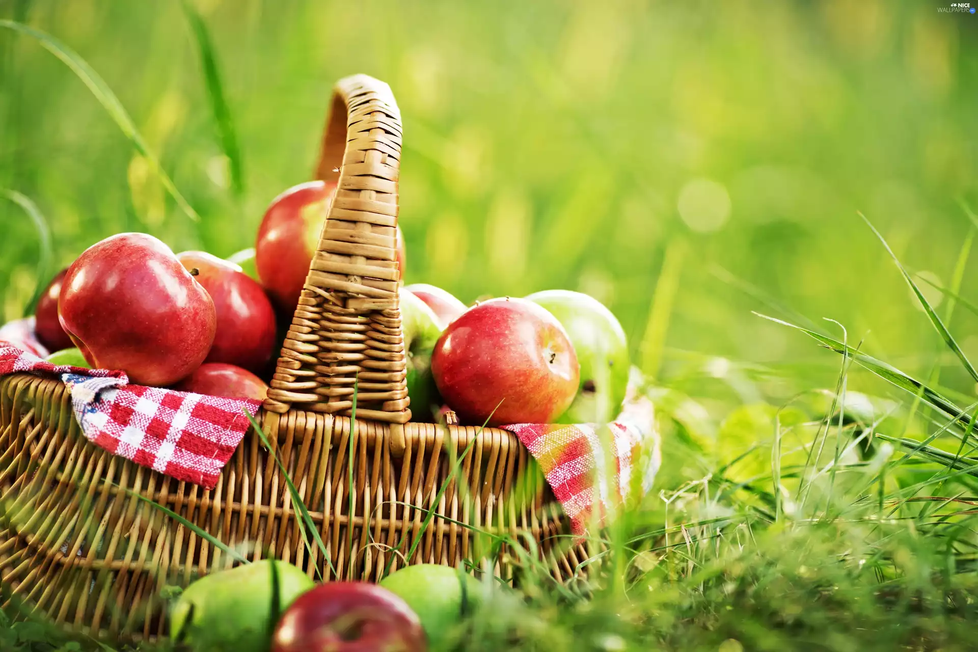 Meadow, grass, apples, basket, Red