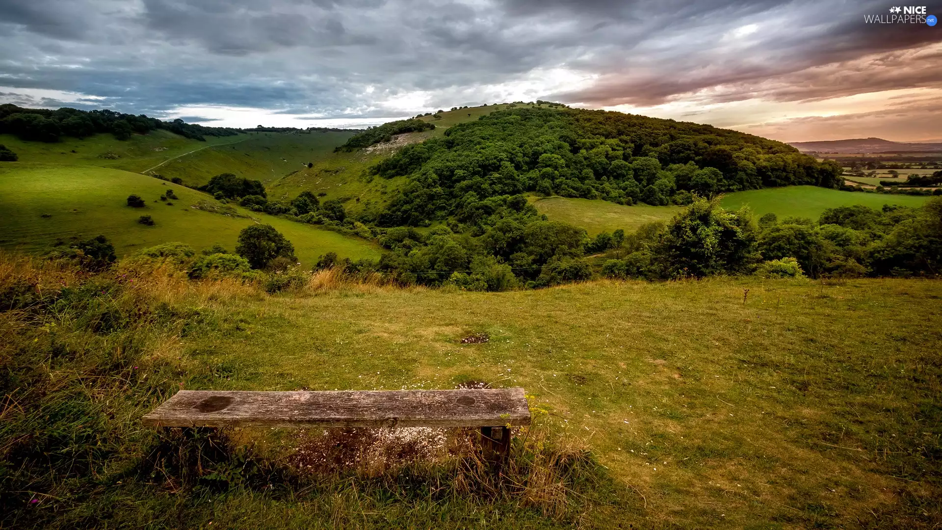 trees, clouds, Bench, grass, viewes, The Hills