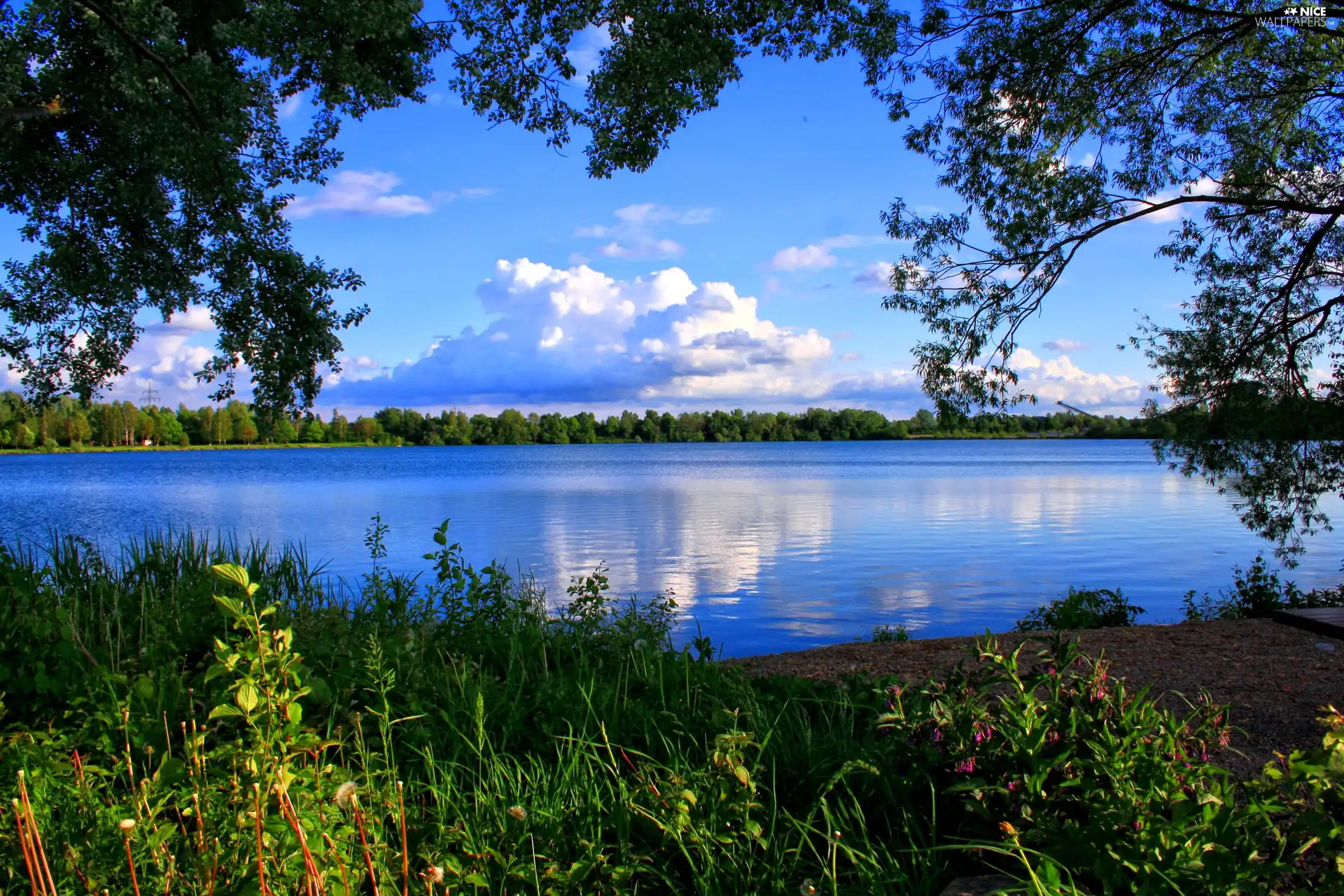 grass, clouds, trees, viewes, lake