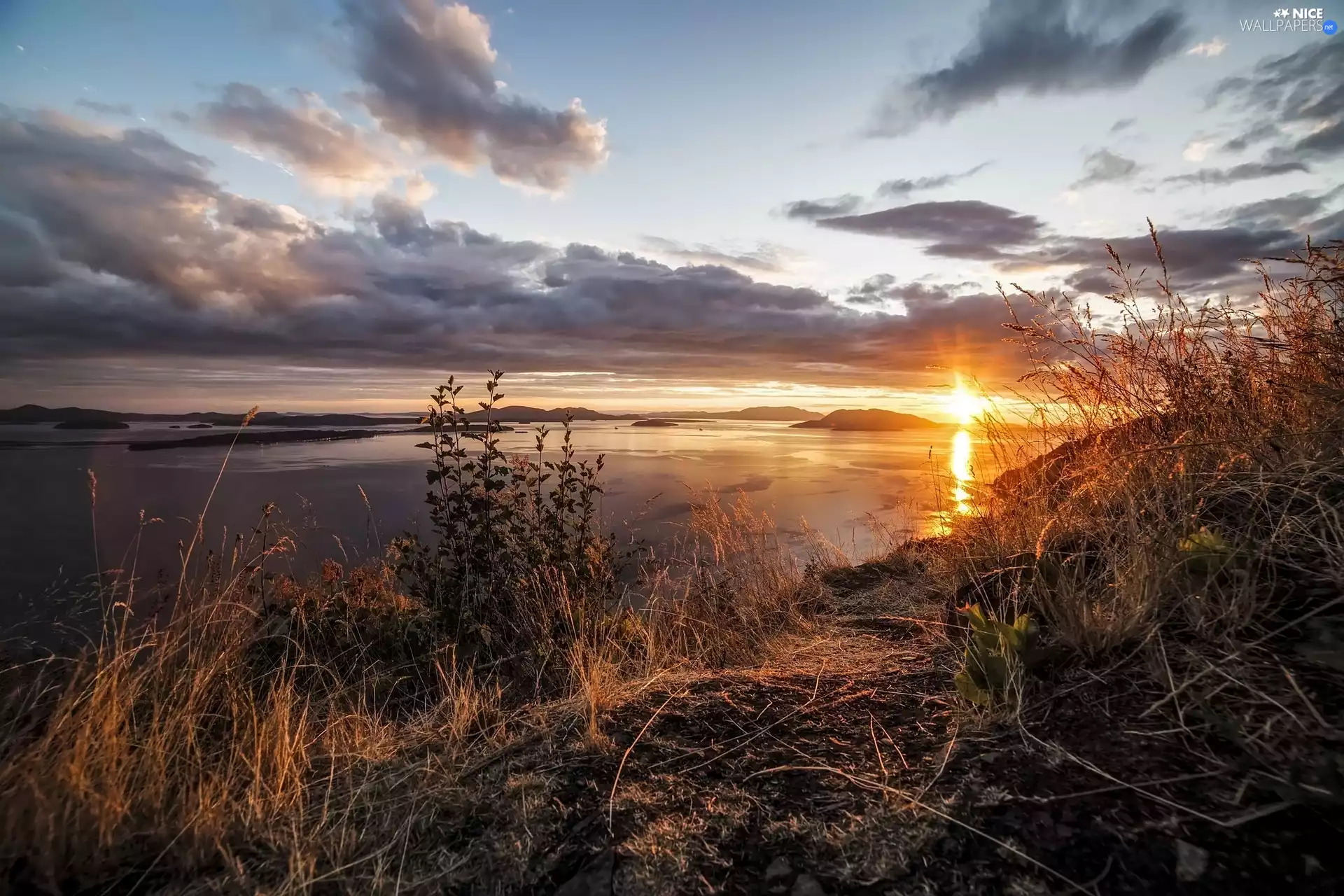 lake, grass, clouds, Great Sunsets