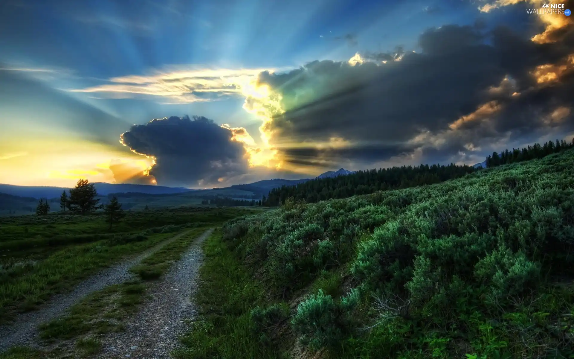 grass, Way, clouds