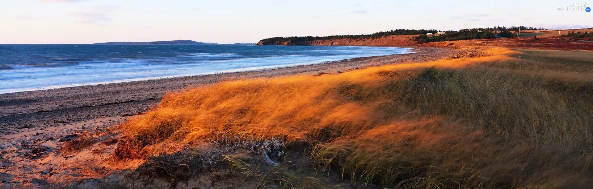 grass, sea, coast