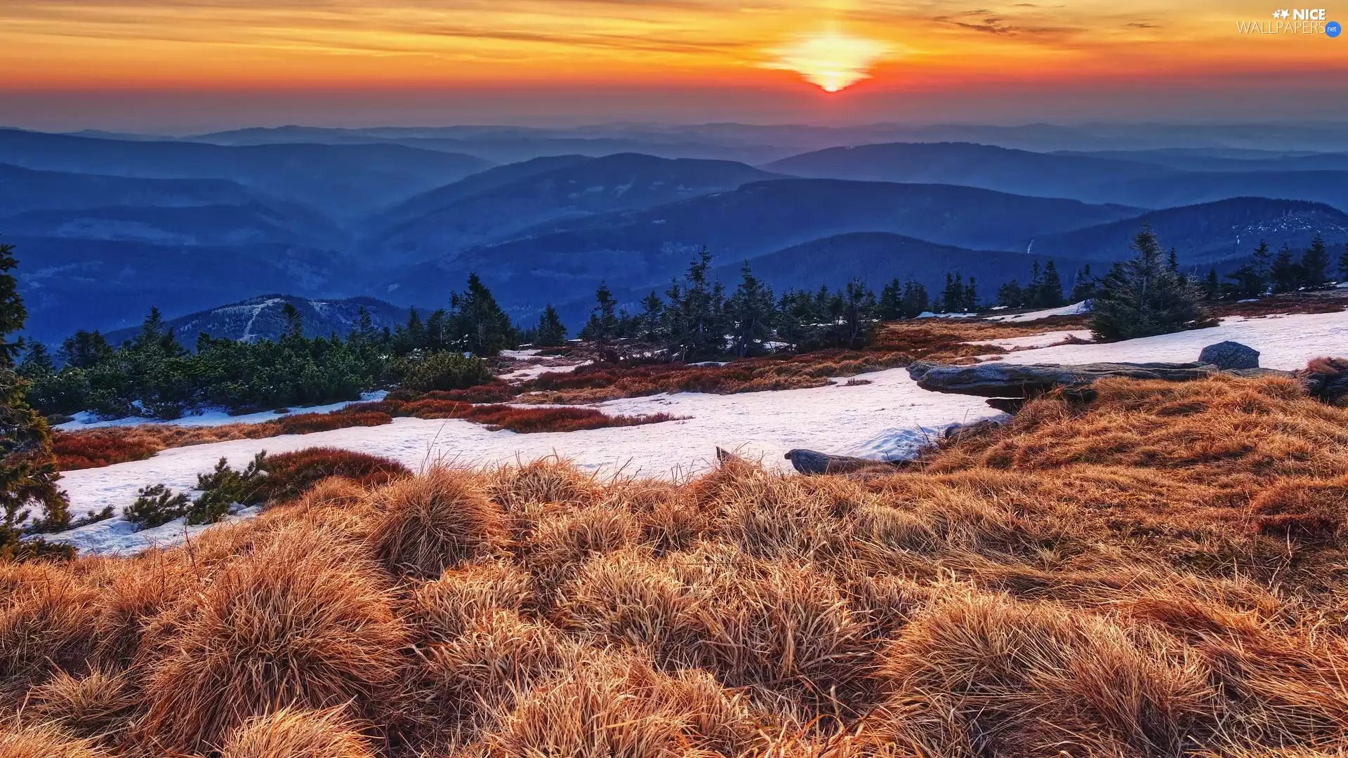 trees, Mountains, dry, snow, Great Sunsets, viewes, grass