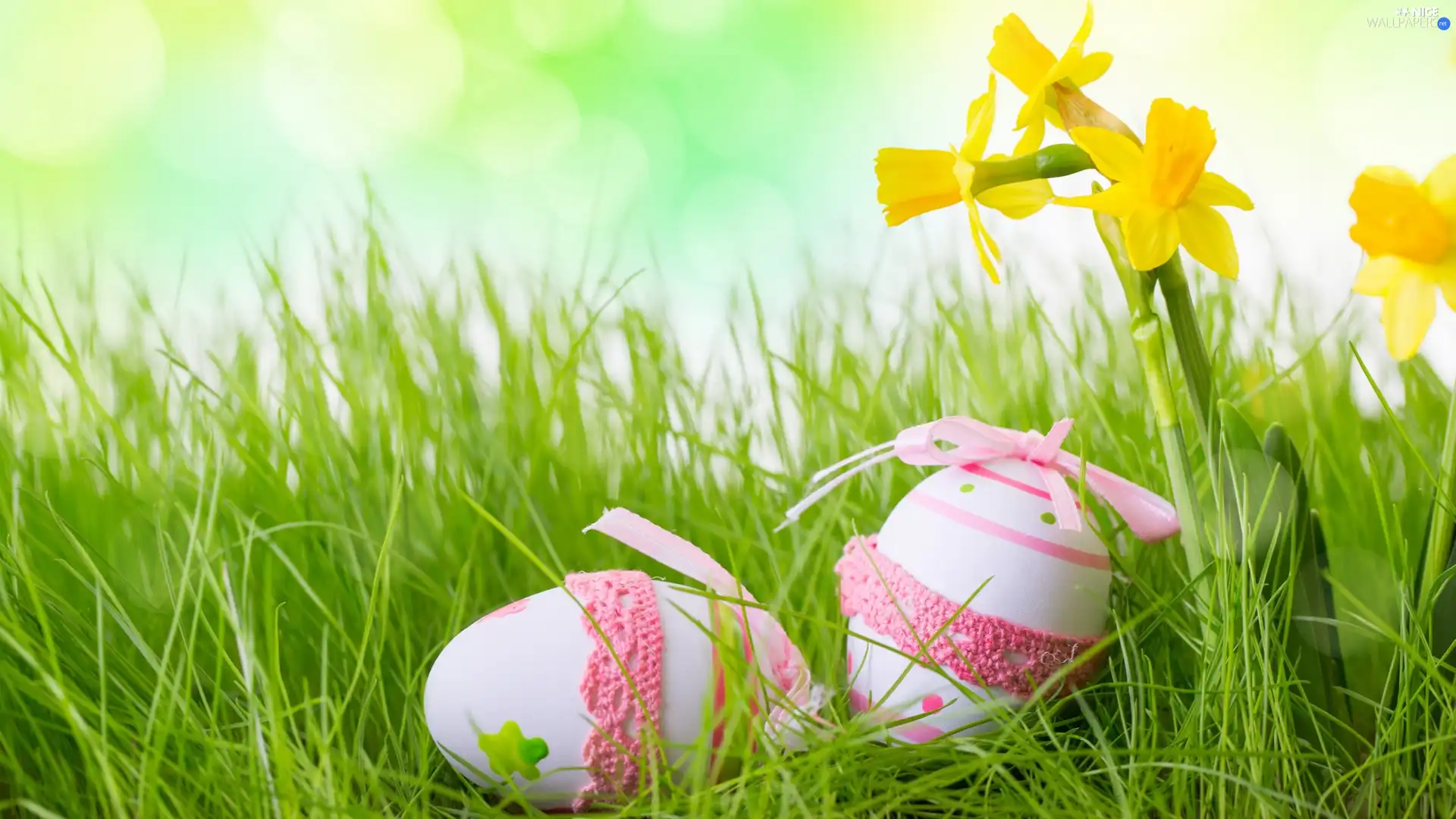 Easter, Daffodils, grass, eggs