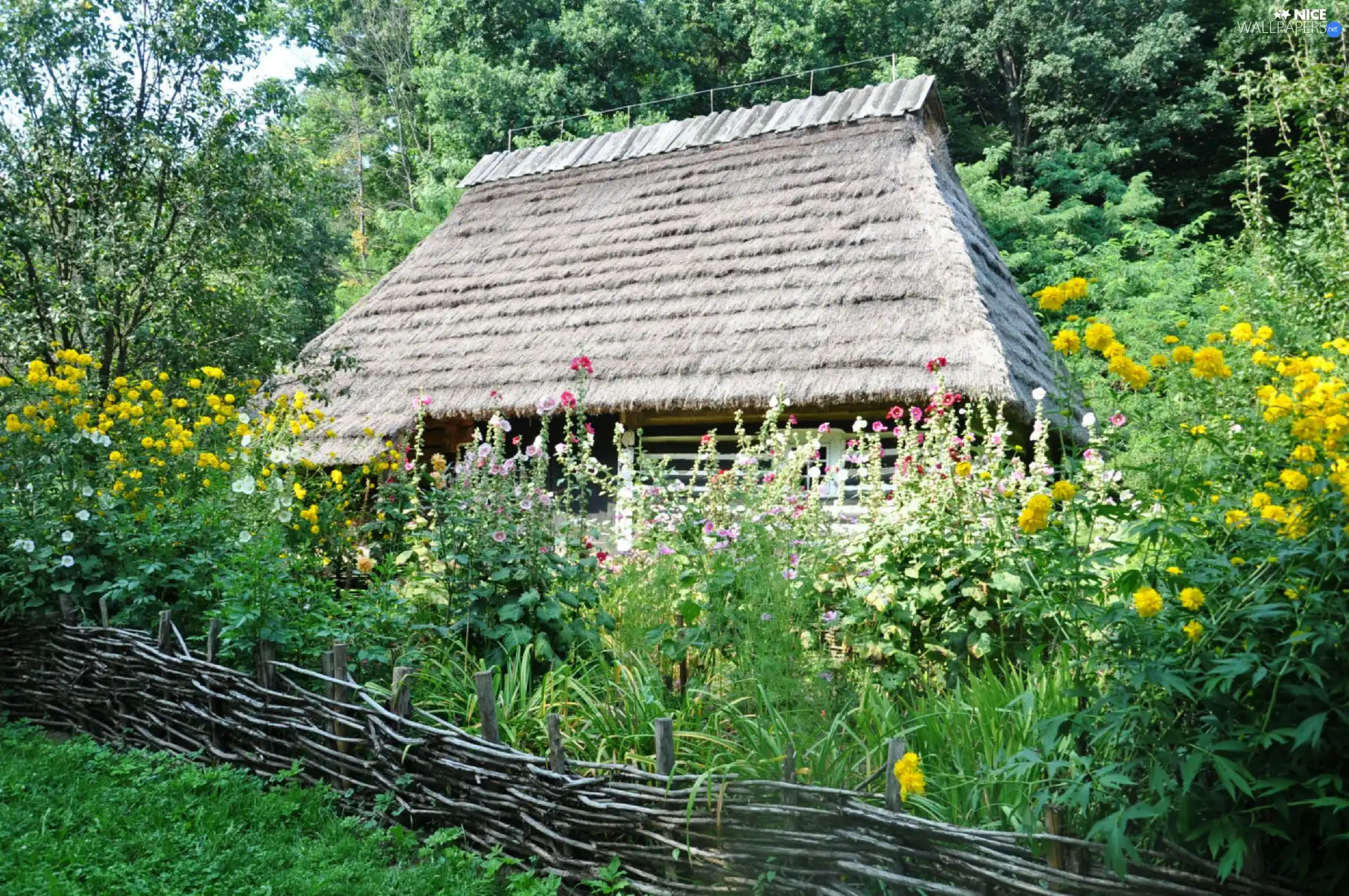 viewes, Home, grass, Fance, Flowers, trees