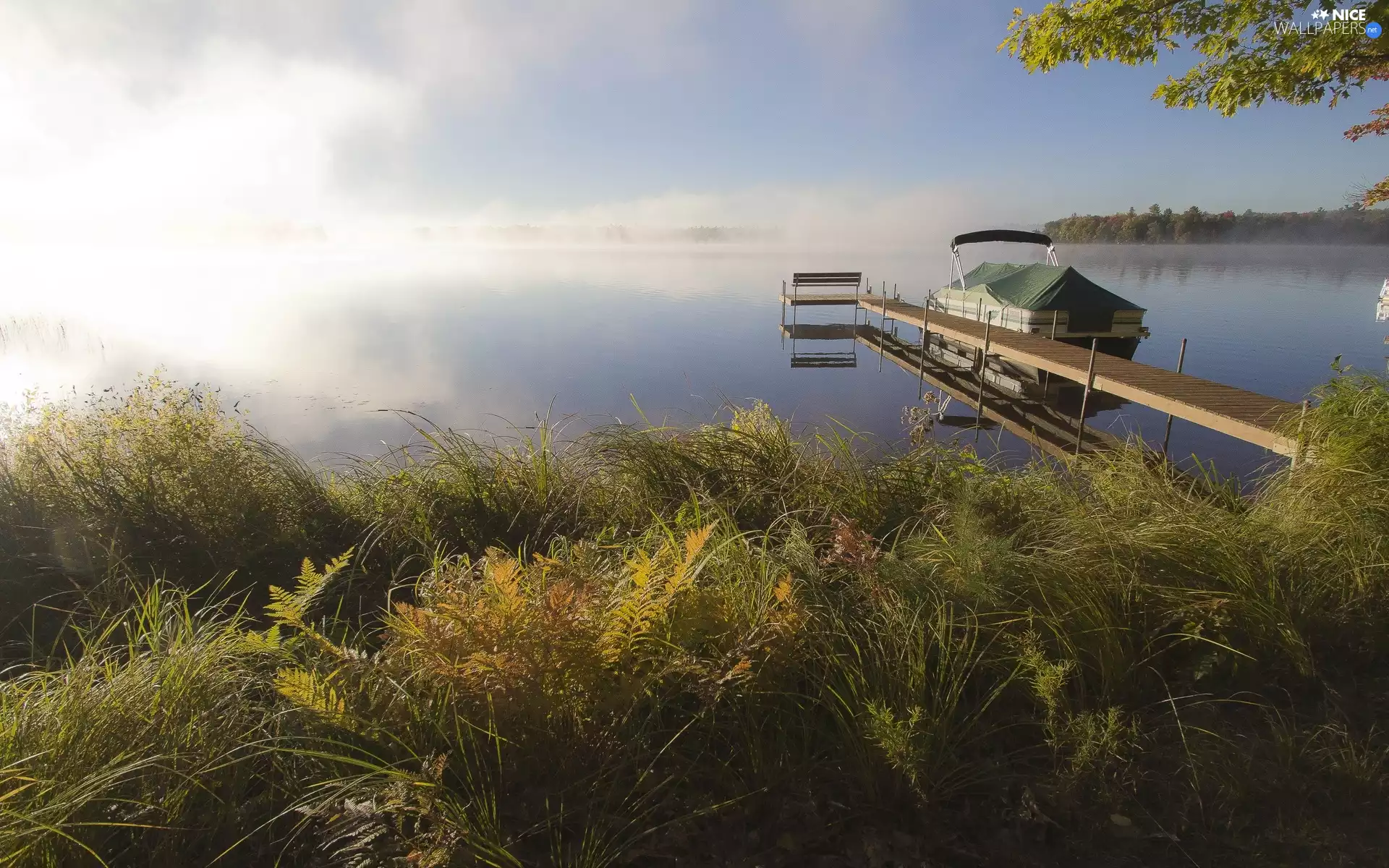 lake, Platform, Fog, grass
