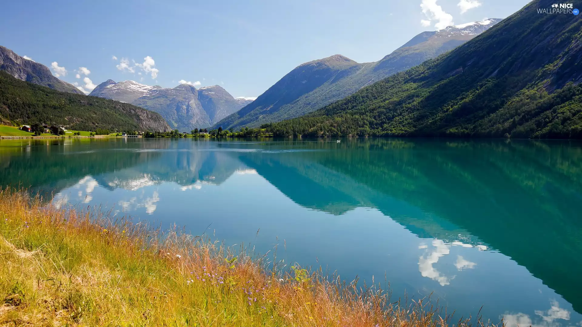 Yellowed, grass, lake, Plants, Mountains