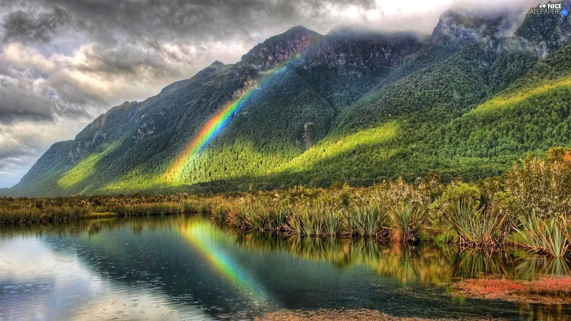 lake, Great Rainbows, grass, Mountains