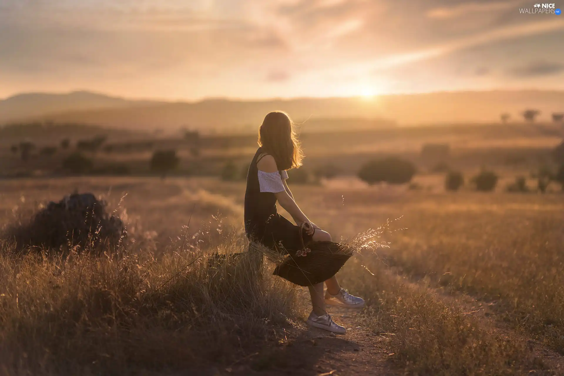 grass, Meadow, basket, Field, girl