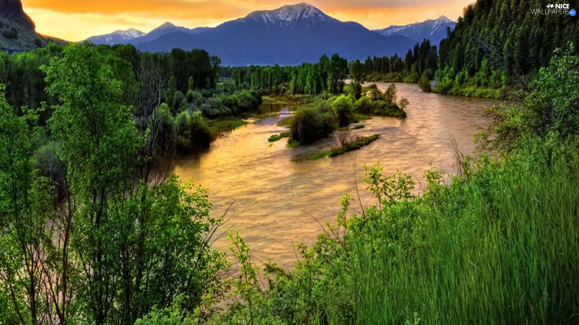 Mountains, forest, grass, River