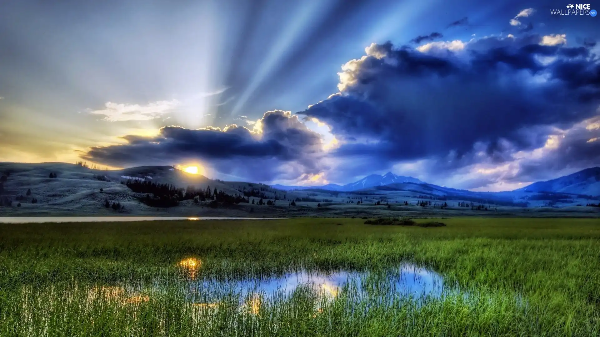 grass, puddle, rays, sun, clouds