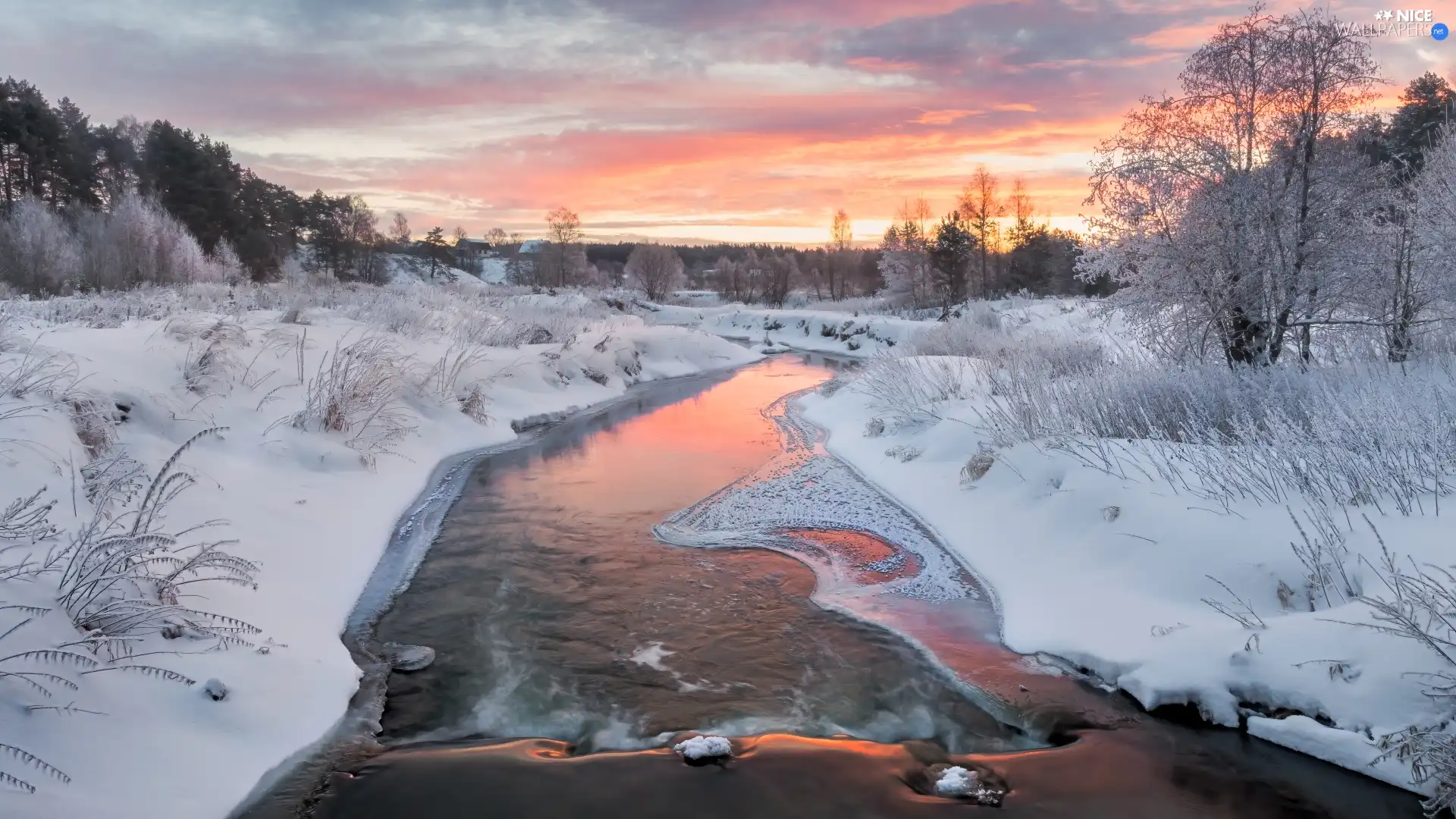 snow, winter, viewes, grass, trees, River