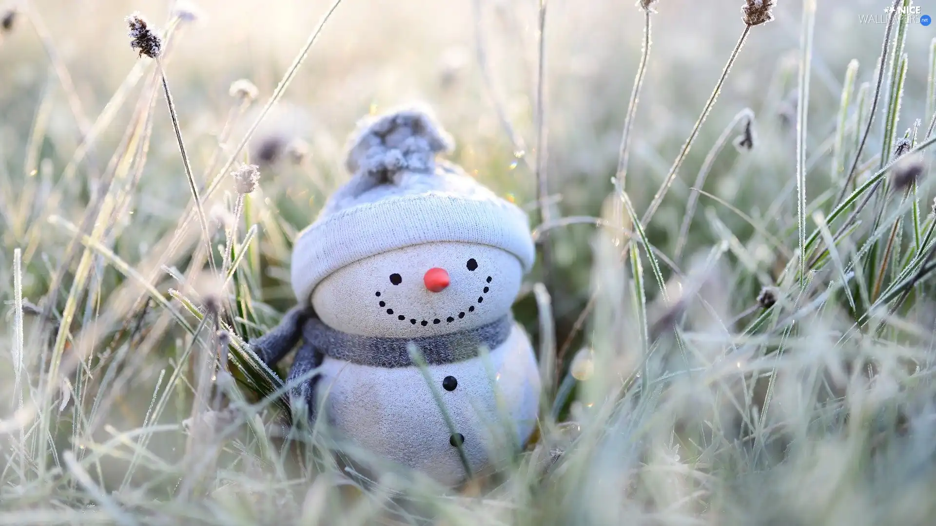 Hat, decoration, frosted, grass, Scarf, Snowman