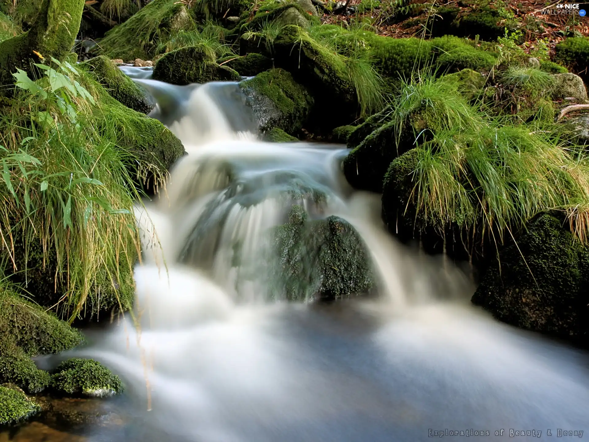 grass, waterfall, Stones