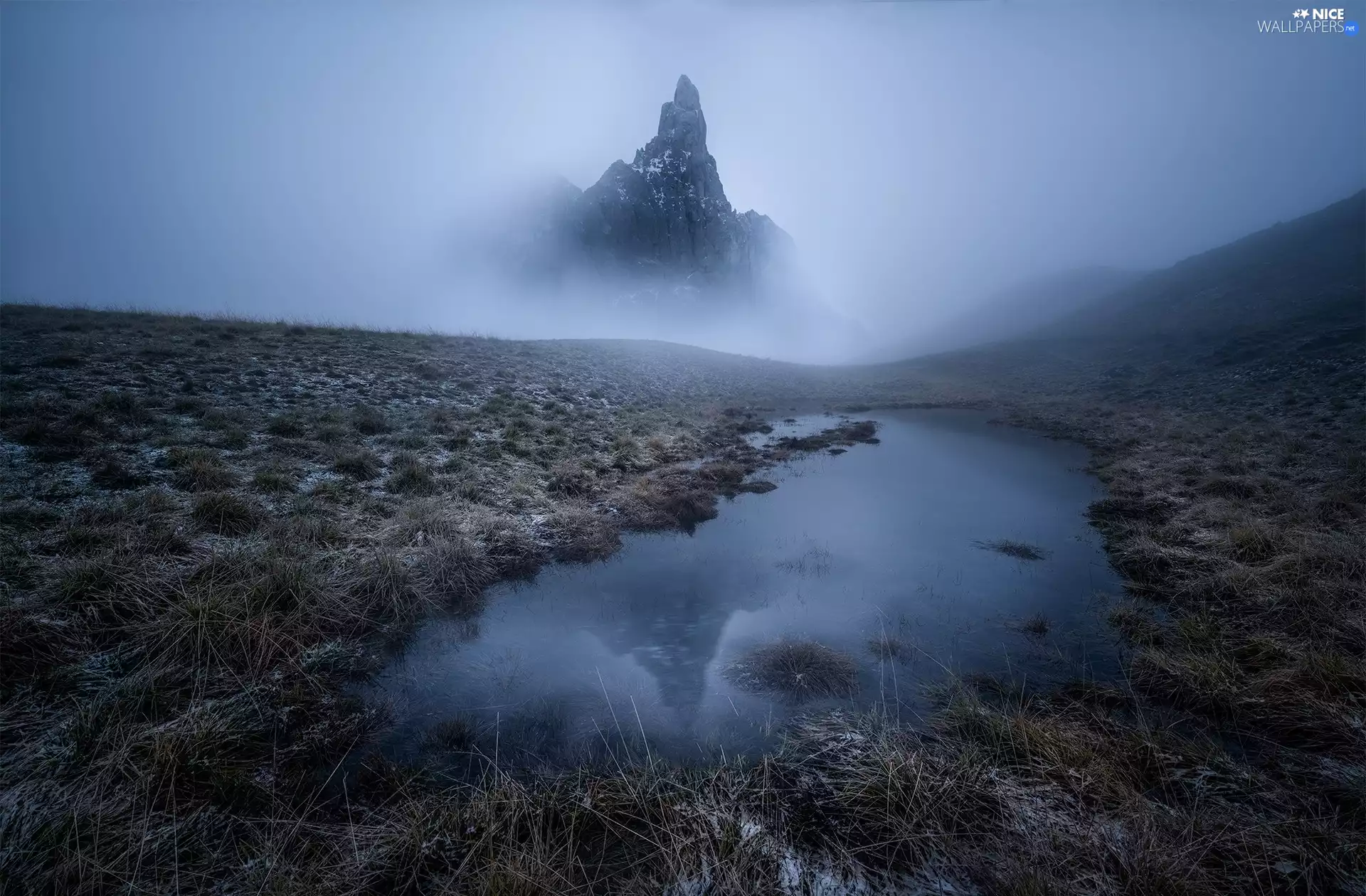 Fog, mountains, Clumps, grass, pool, top