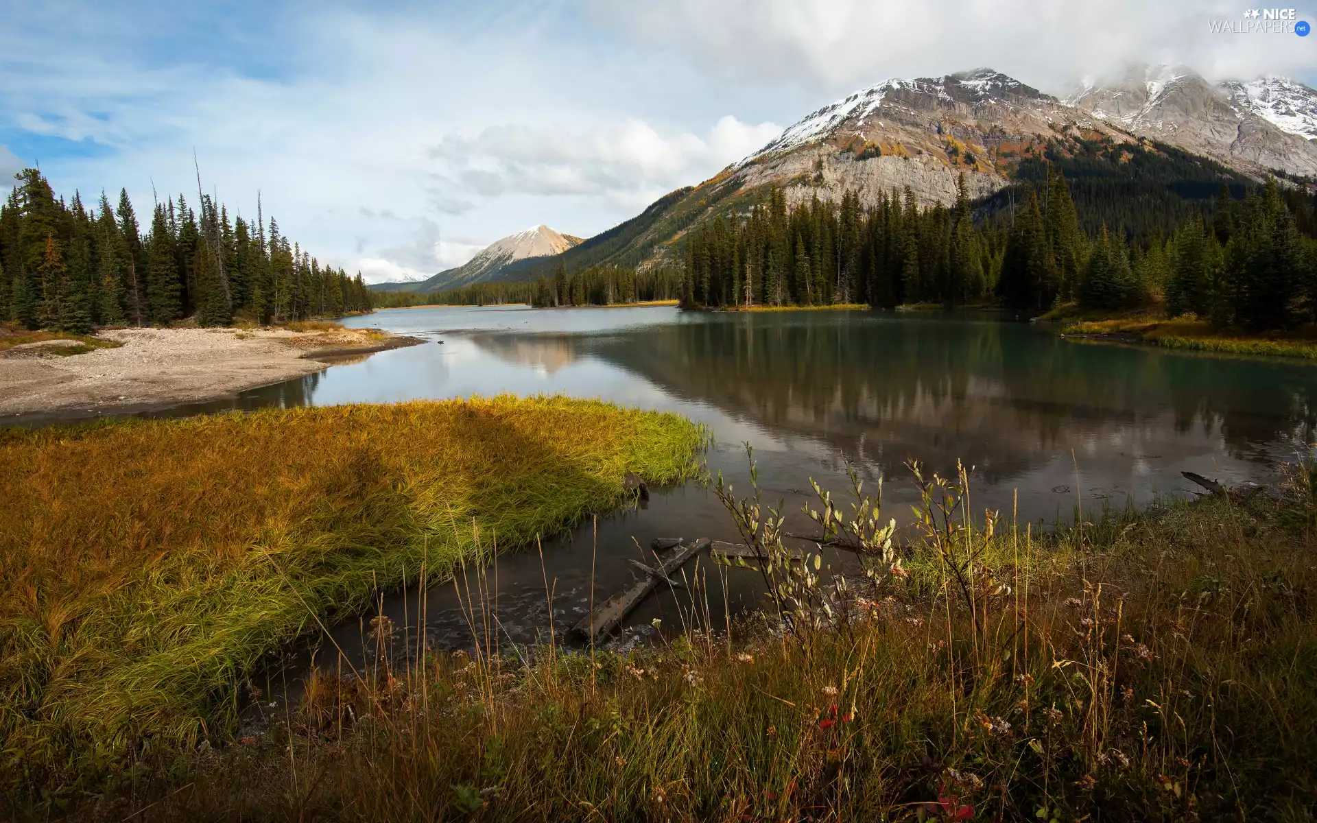 lake, grass, trees, viewes, Mountains