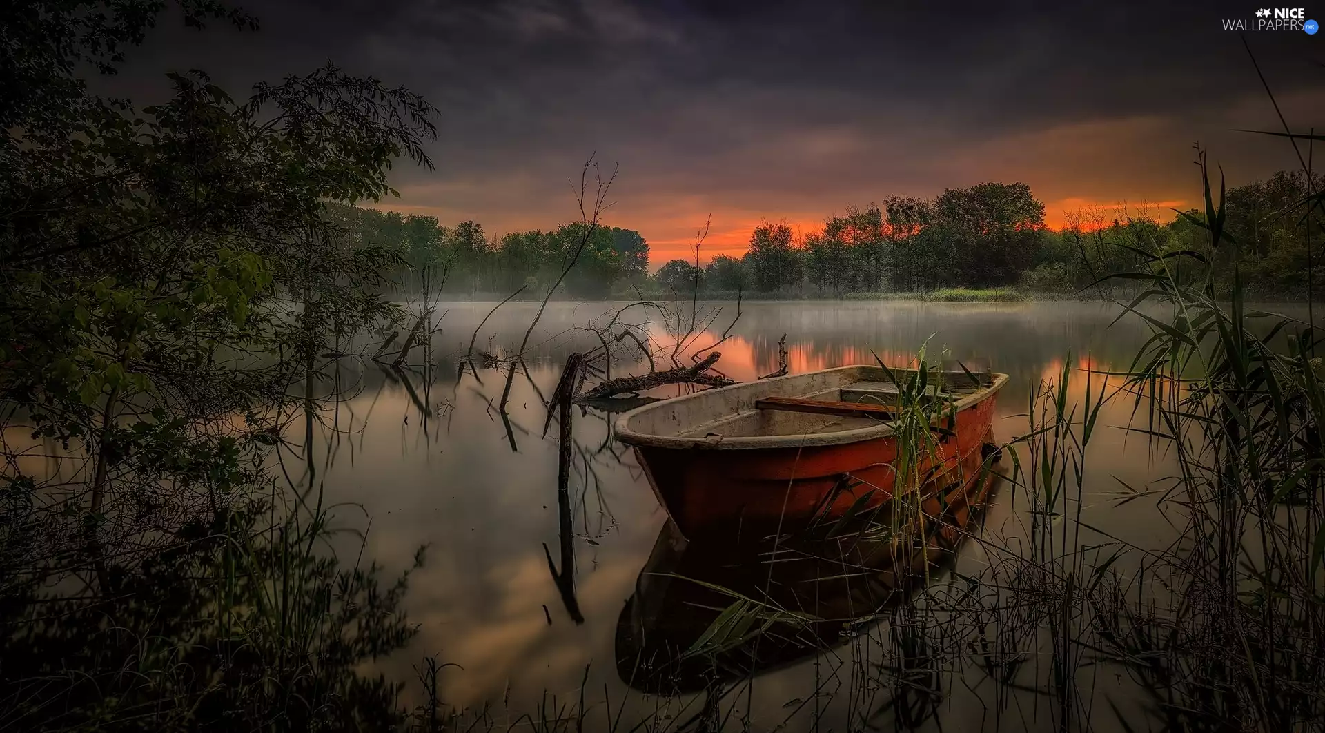 Fog, Boat, viewes, Great Sunsets, lake, trees, grass