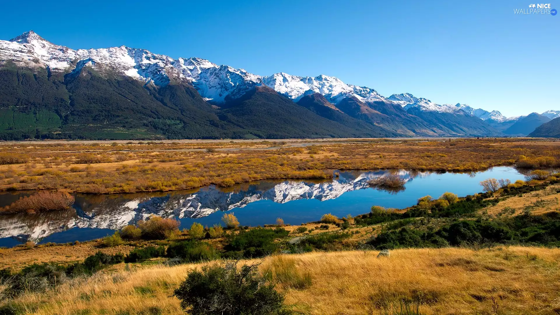 viewes, grass, water, trees, Mountains