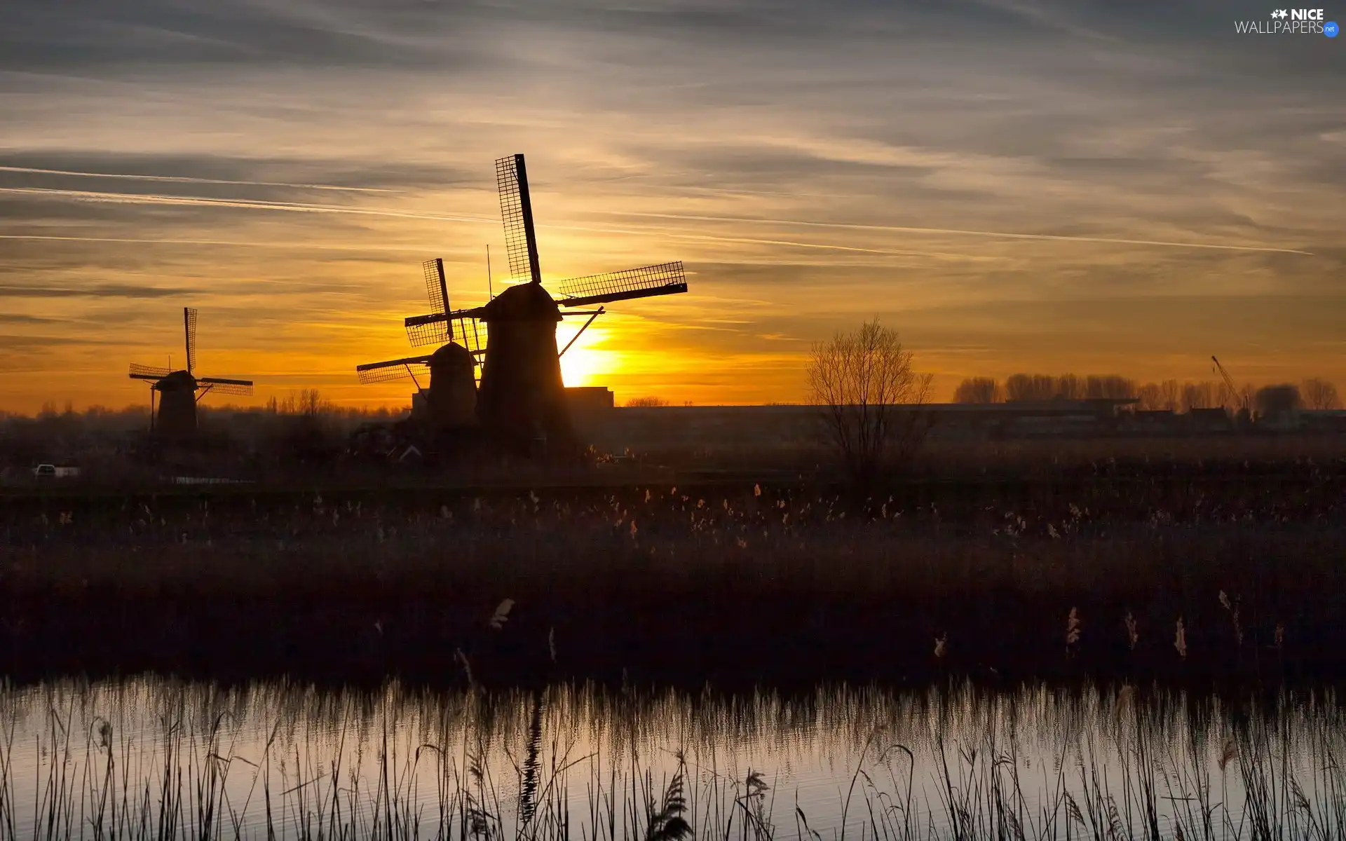 Windmills, sun, grass, west