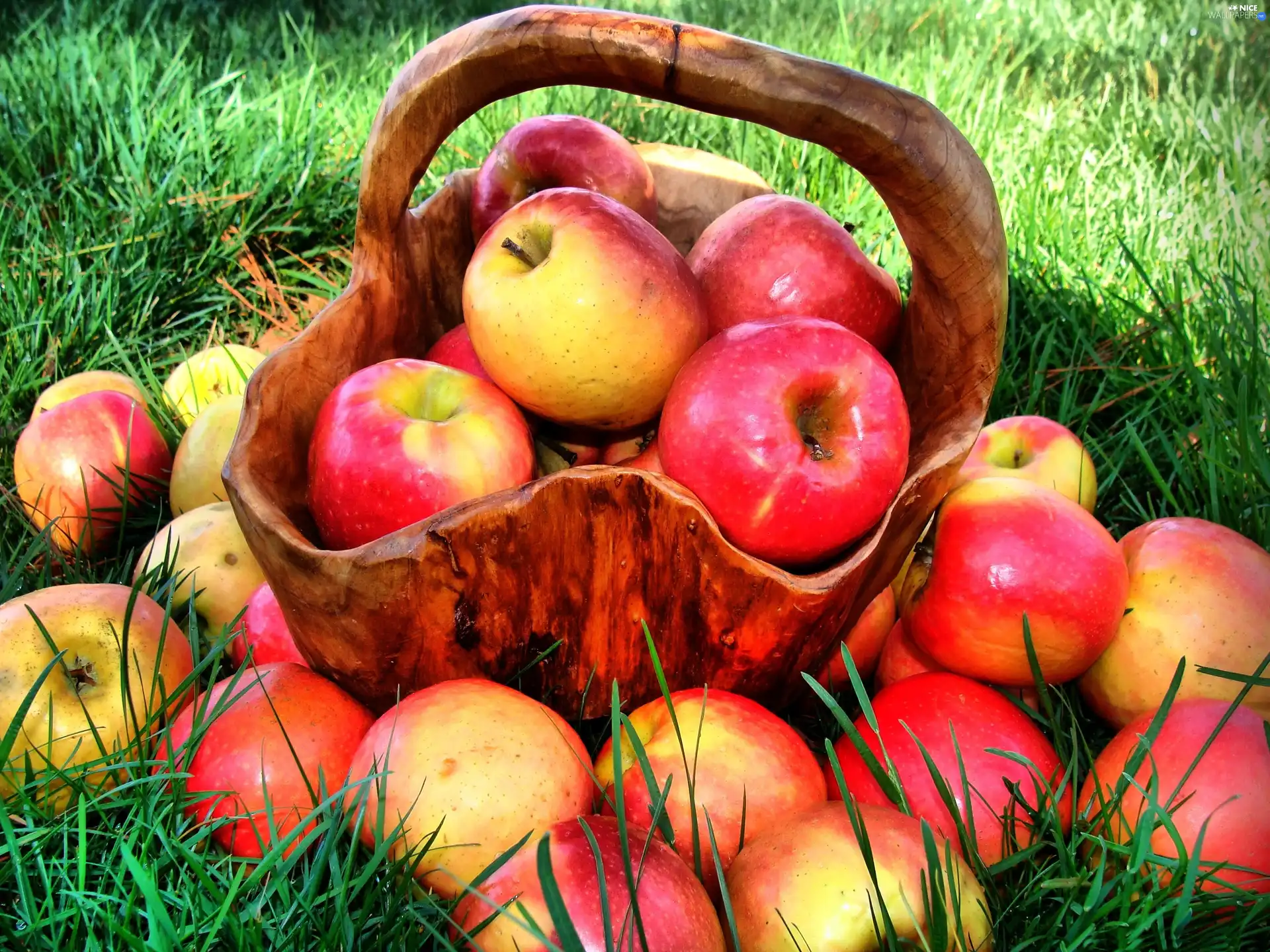 wooden, apples, grass, basket