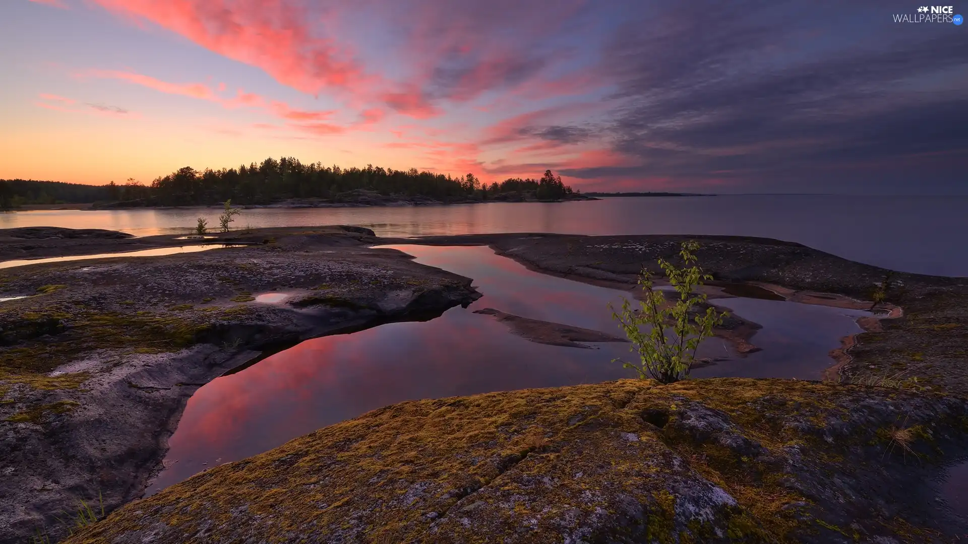 trees, lake, Bush, Great Sunsets, viewes, rocks