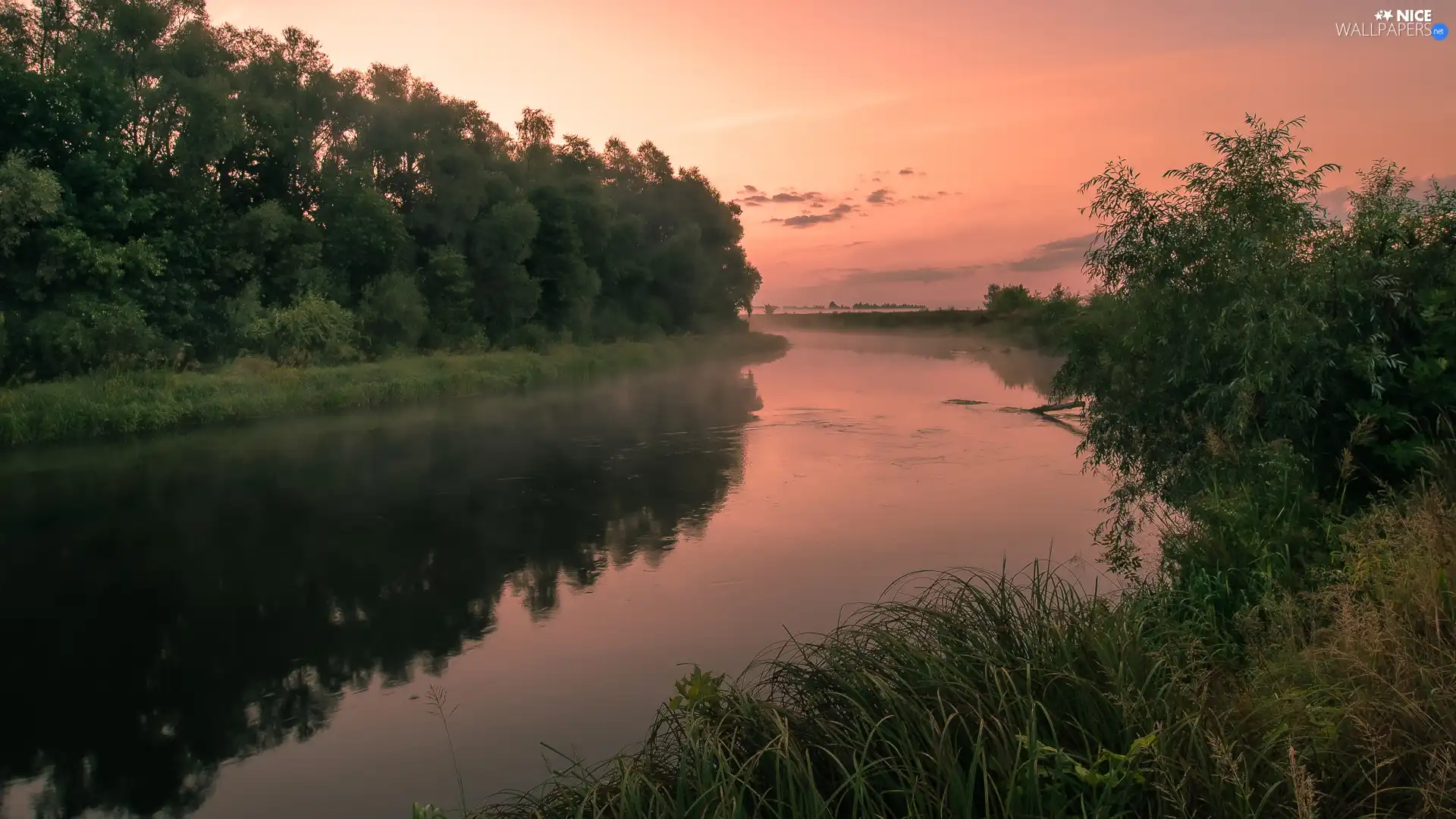 viewes, River, Bush, Great Sunsets, grass, trees