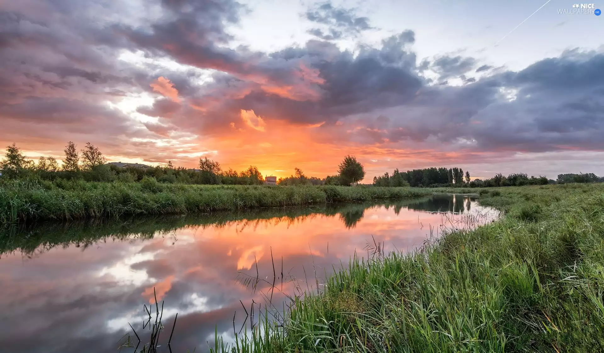 viewes, River, clouds, Great Sunsets, grass, trees