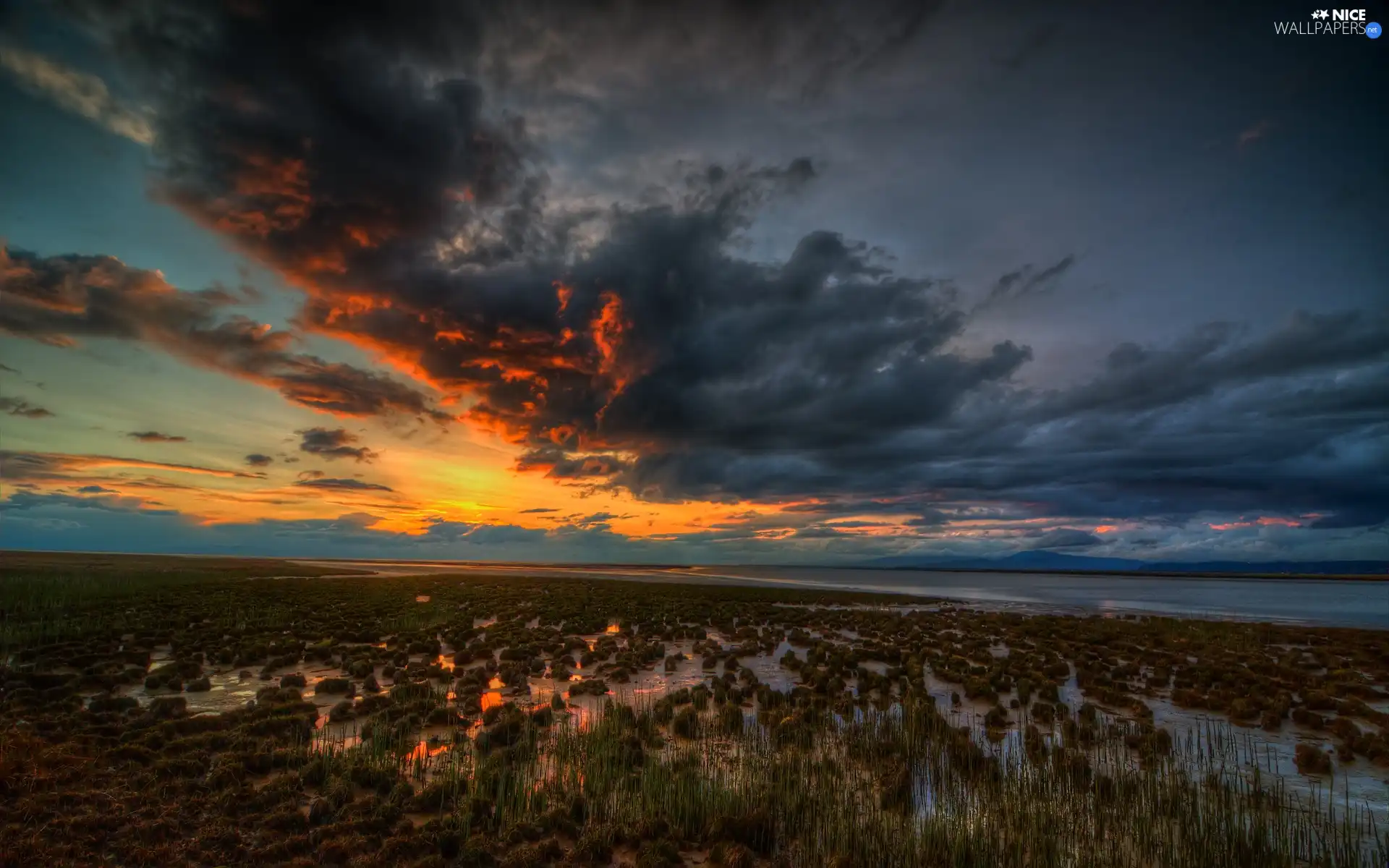 clouds, swamp, Great Sunsets