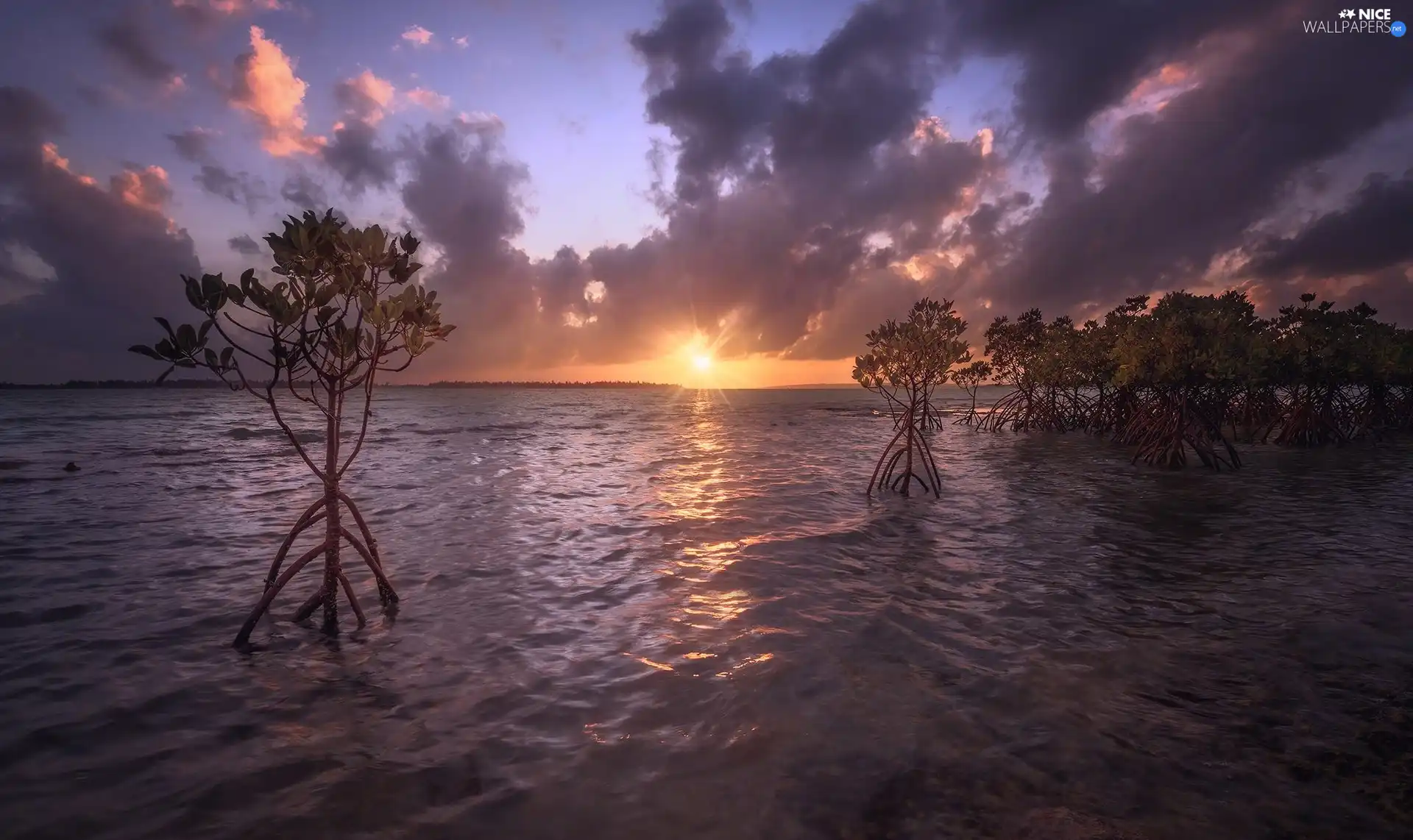 Great Sunsets, clouds, trees, viewes, lake