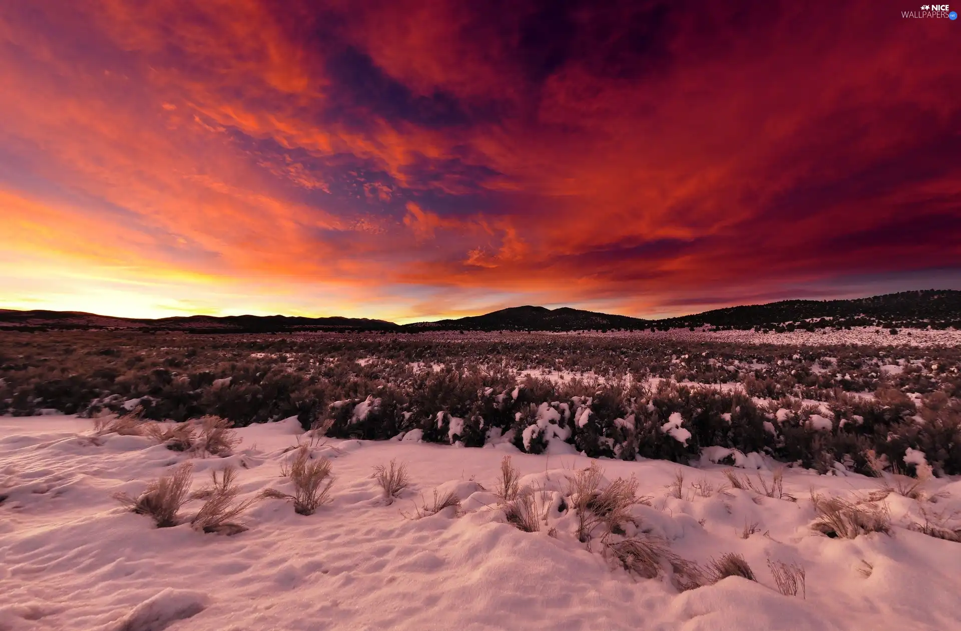 grass, clouds, Great Sunsets, snow