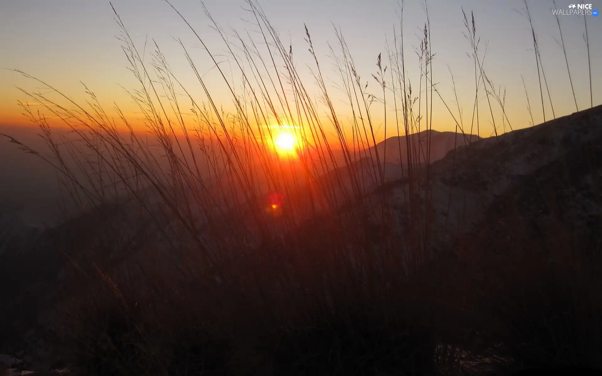 grass, Mountains, Great Sunsets