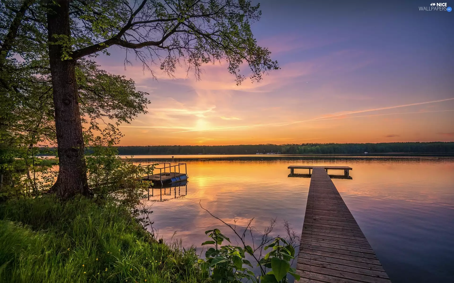 trees, VEGETATION, Platform, Great Sunsets, lake