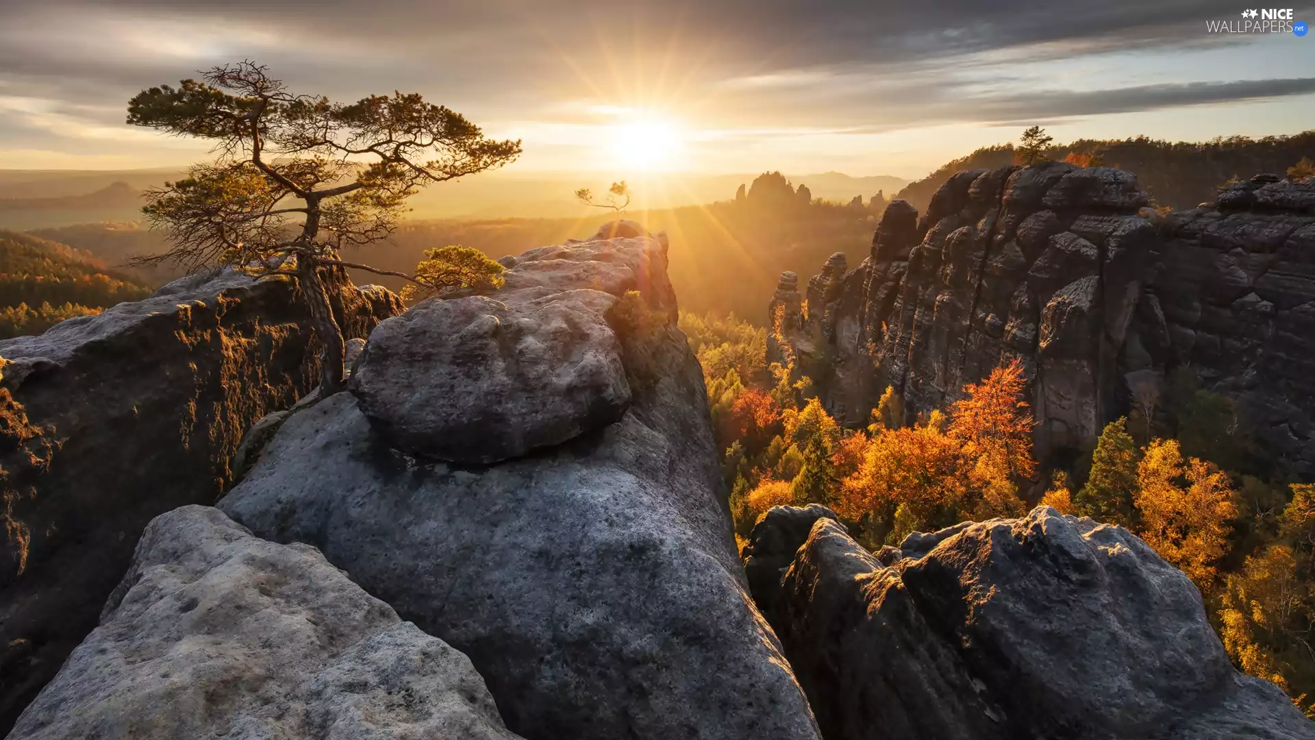 woods, rocks, pine, Děčínská vrchovina, Saxon Switzerland National Park, Great Sunsets, Germany