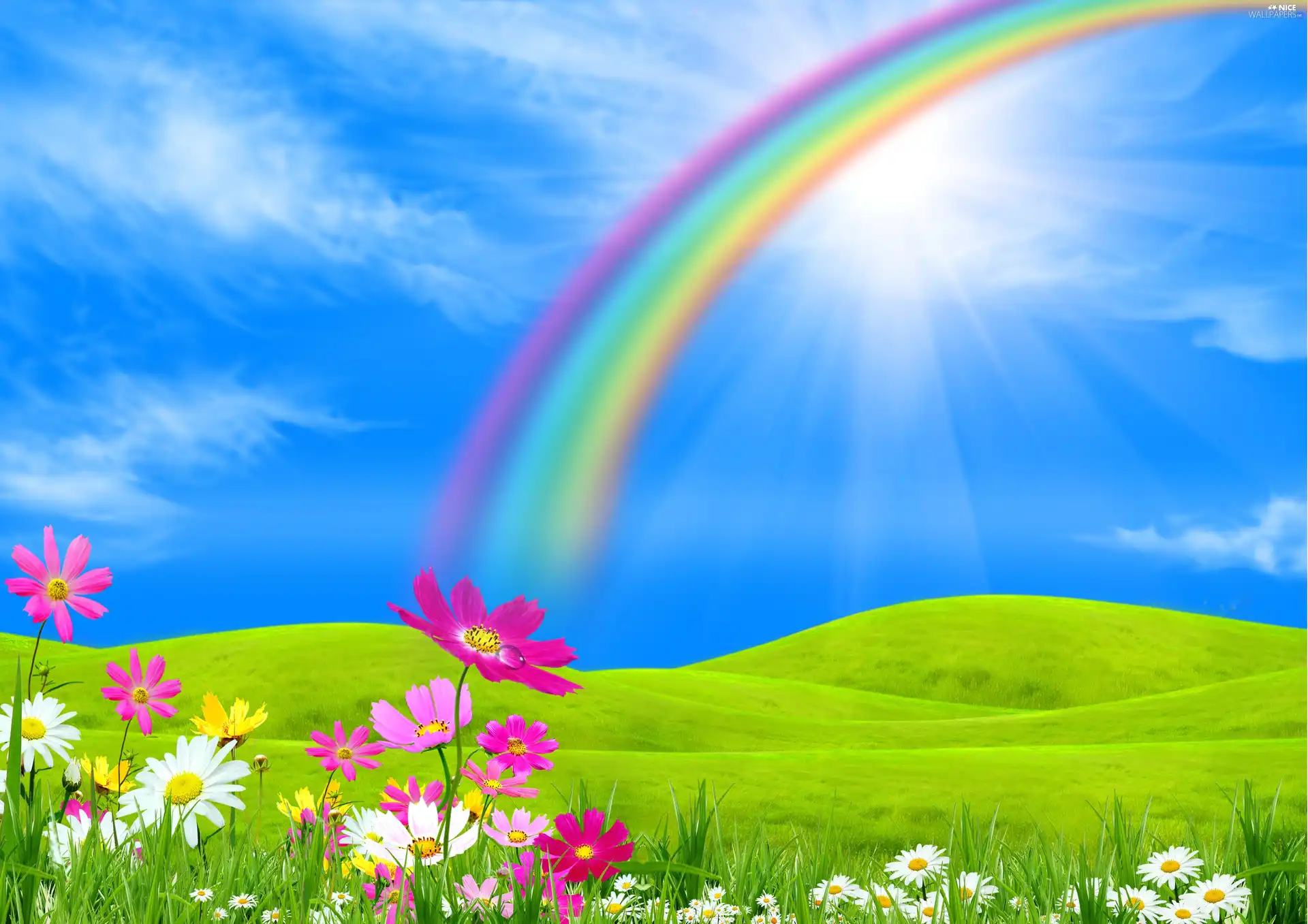 Sky, Flowers, Great Rainbows, Meadow