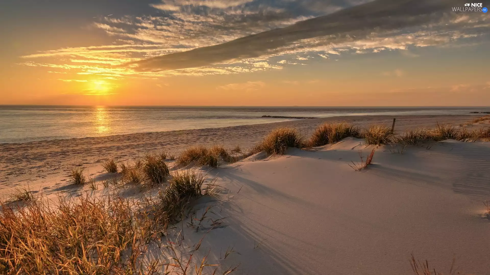 sea, Great Sunsets, grass, Beaches