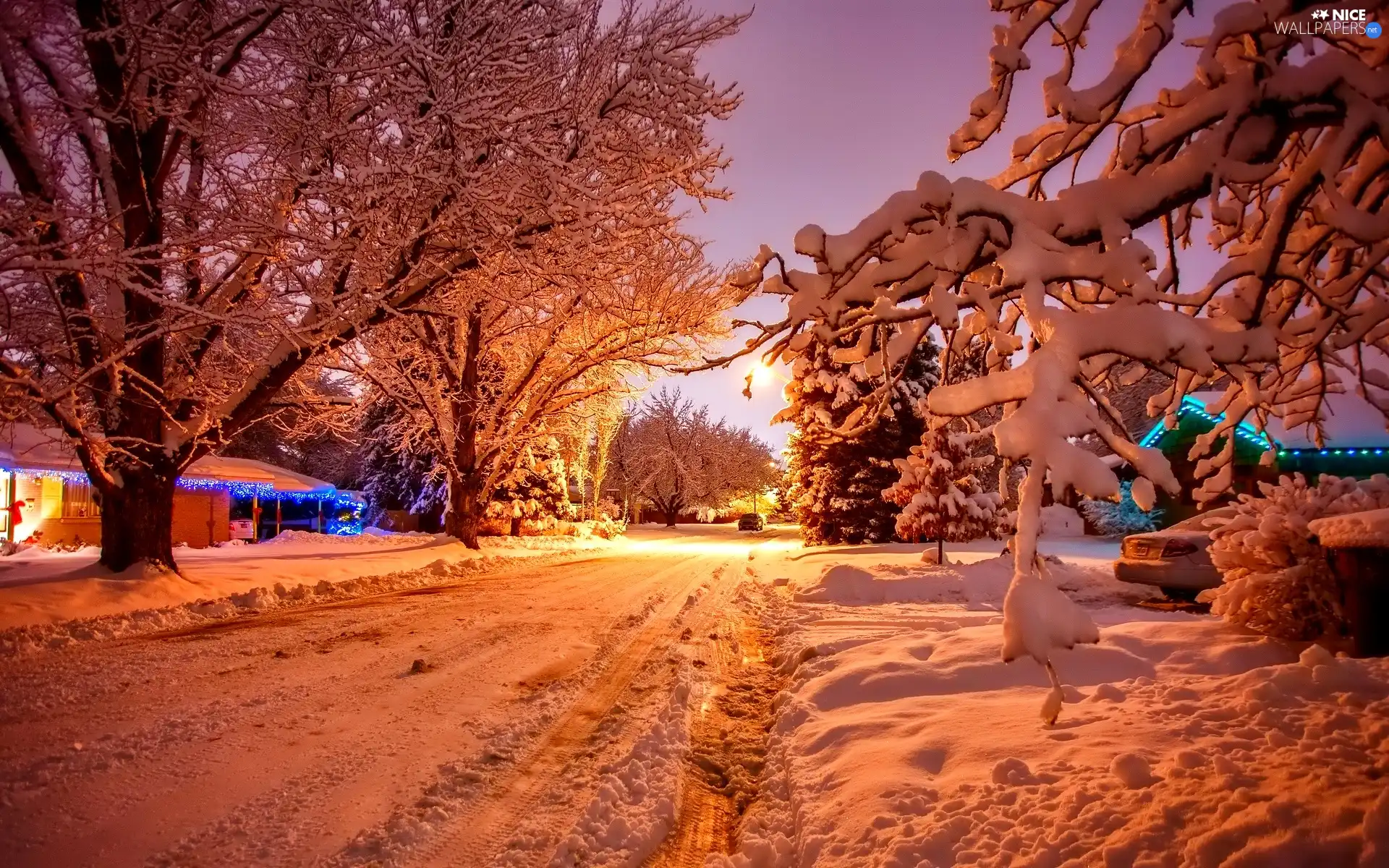 Great Sunsets, winter, trees, viewes, Snowy, Way