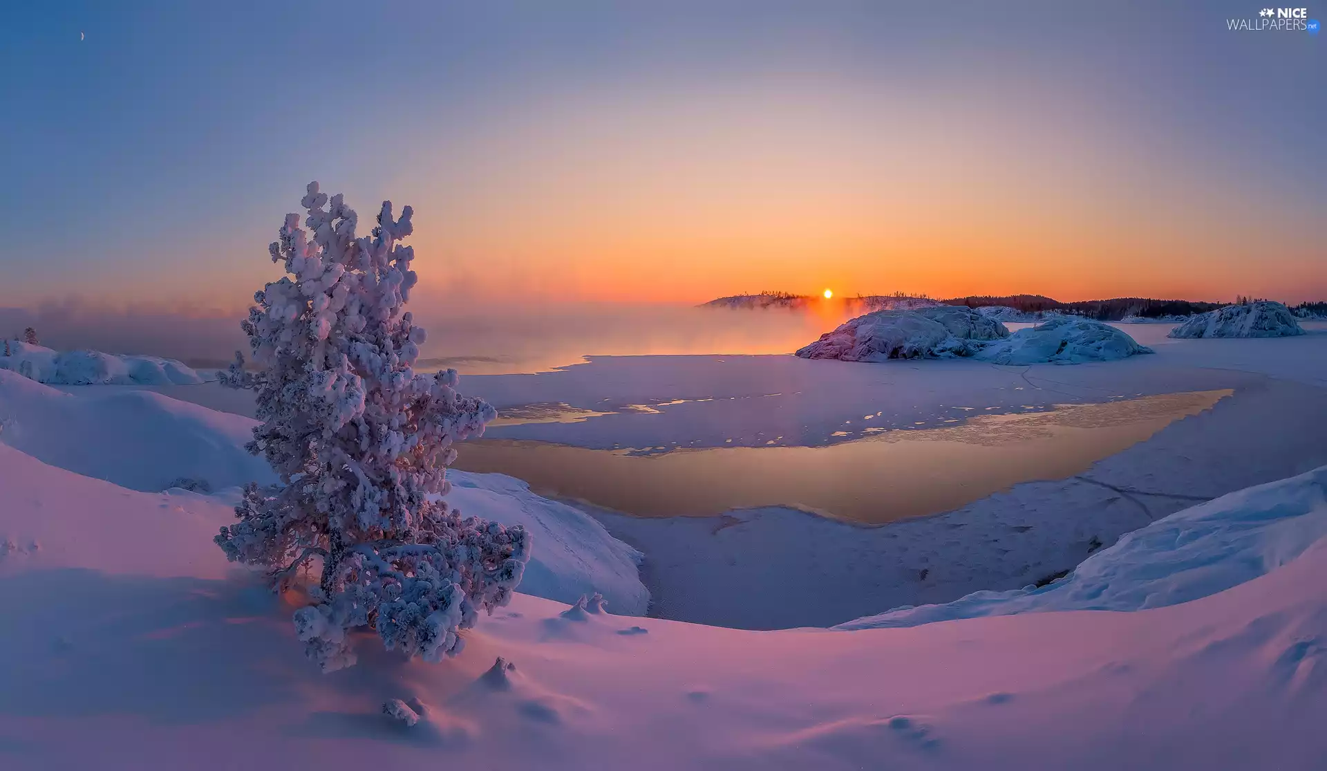 Fog, winter, trees, Great Sunsets, Snowy, lake