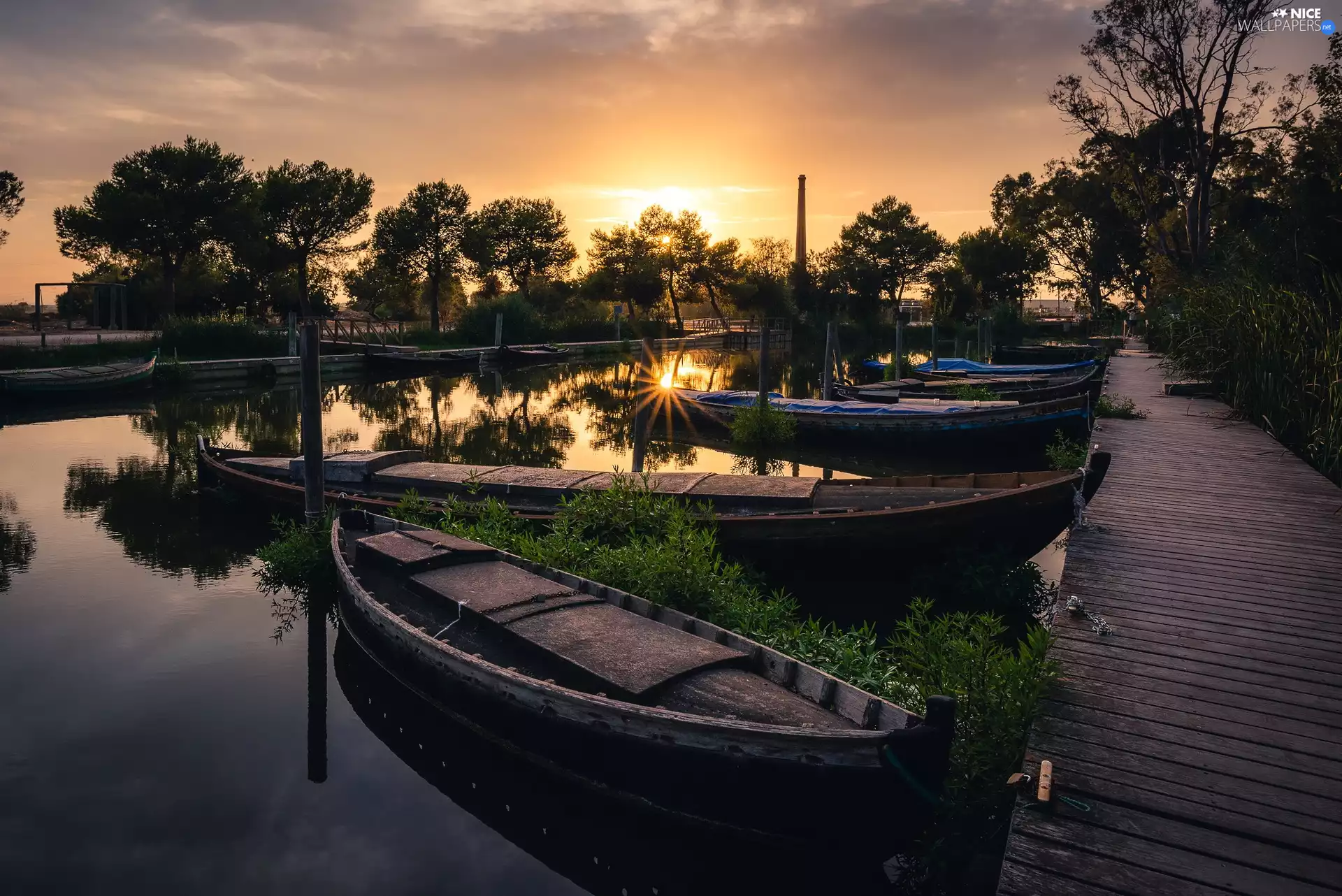 boats, Harbour, viewes, Great Sunsets, trees, Platform