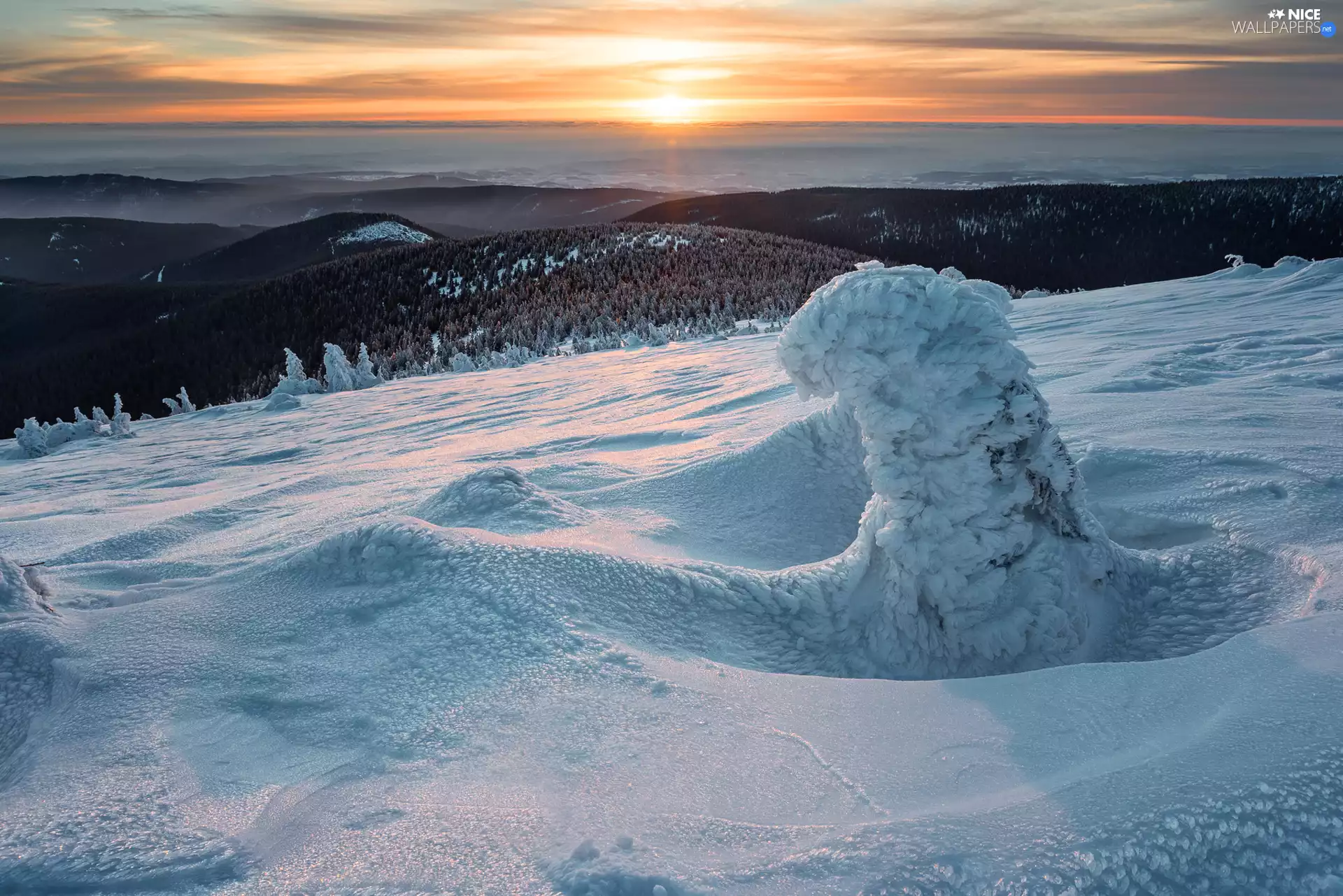 snowy, winter, viewes, Great Sunsets, trees, Mountains