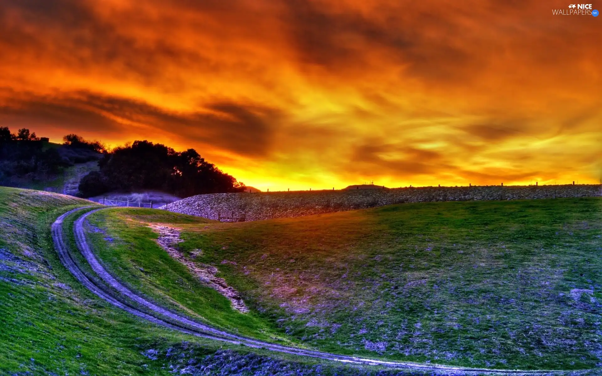 Way, Field, Great Sunsets